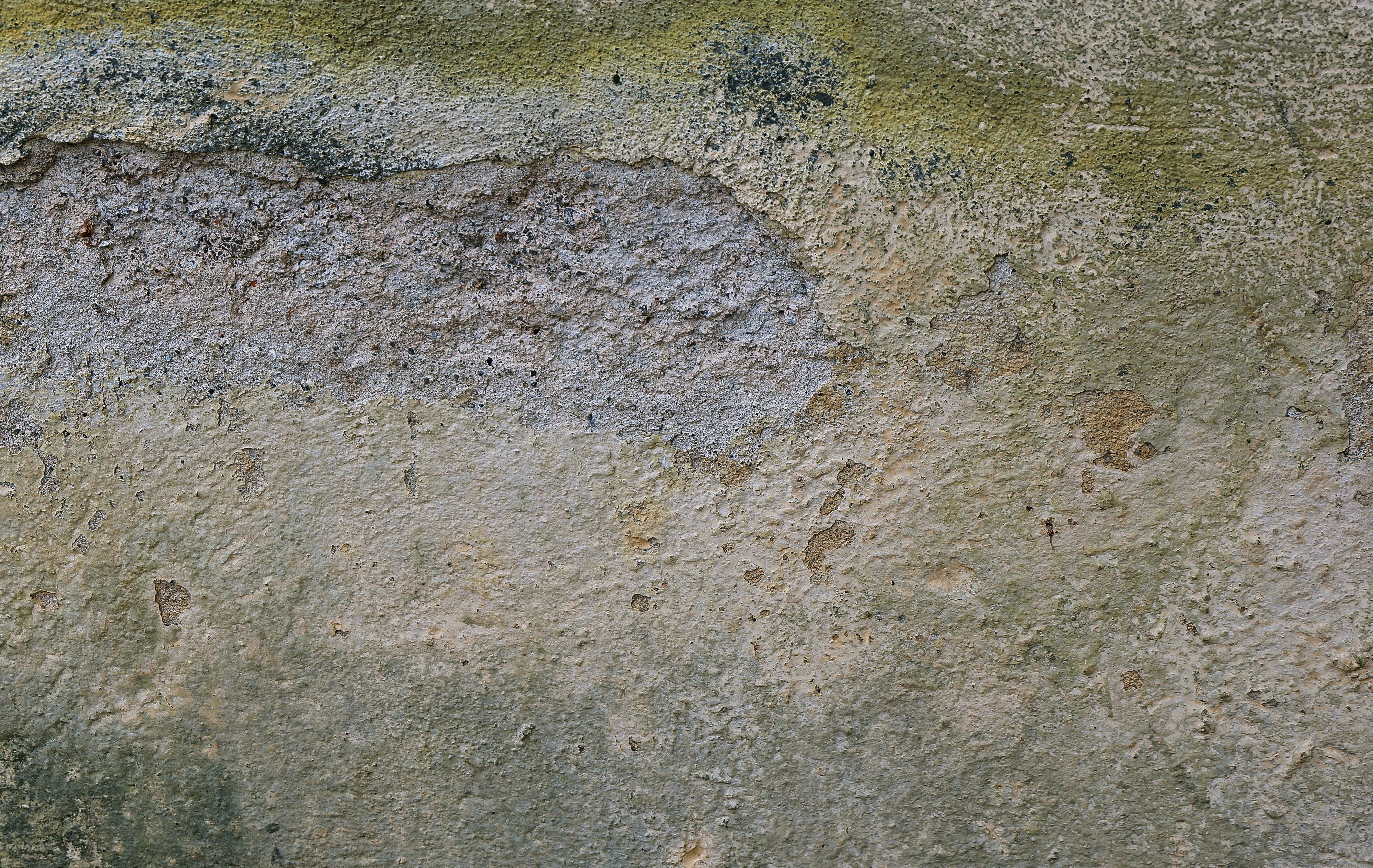 no people, concrete, day, full frame, deterioration, pants, built structure, fossil, close-up, backgrounds, pattern, architecture, nature, wall, damaged, HD Wallpaper