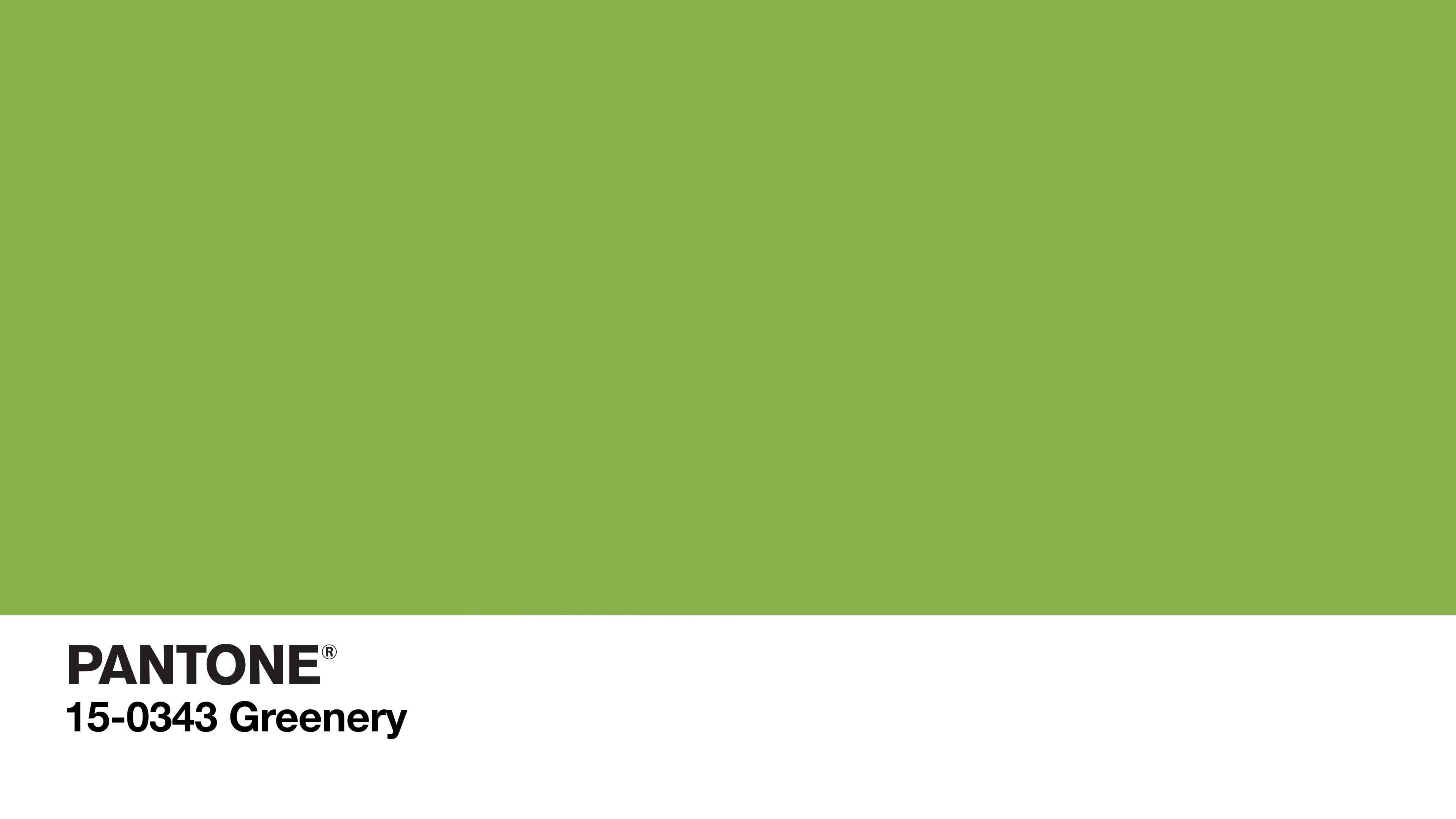 message, billboard, Green, empty, education, communication, close-up, Simple, 4K, blank, abstract, backgrounds, no people, white color, color Codes, logo, HD Wallpaper