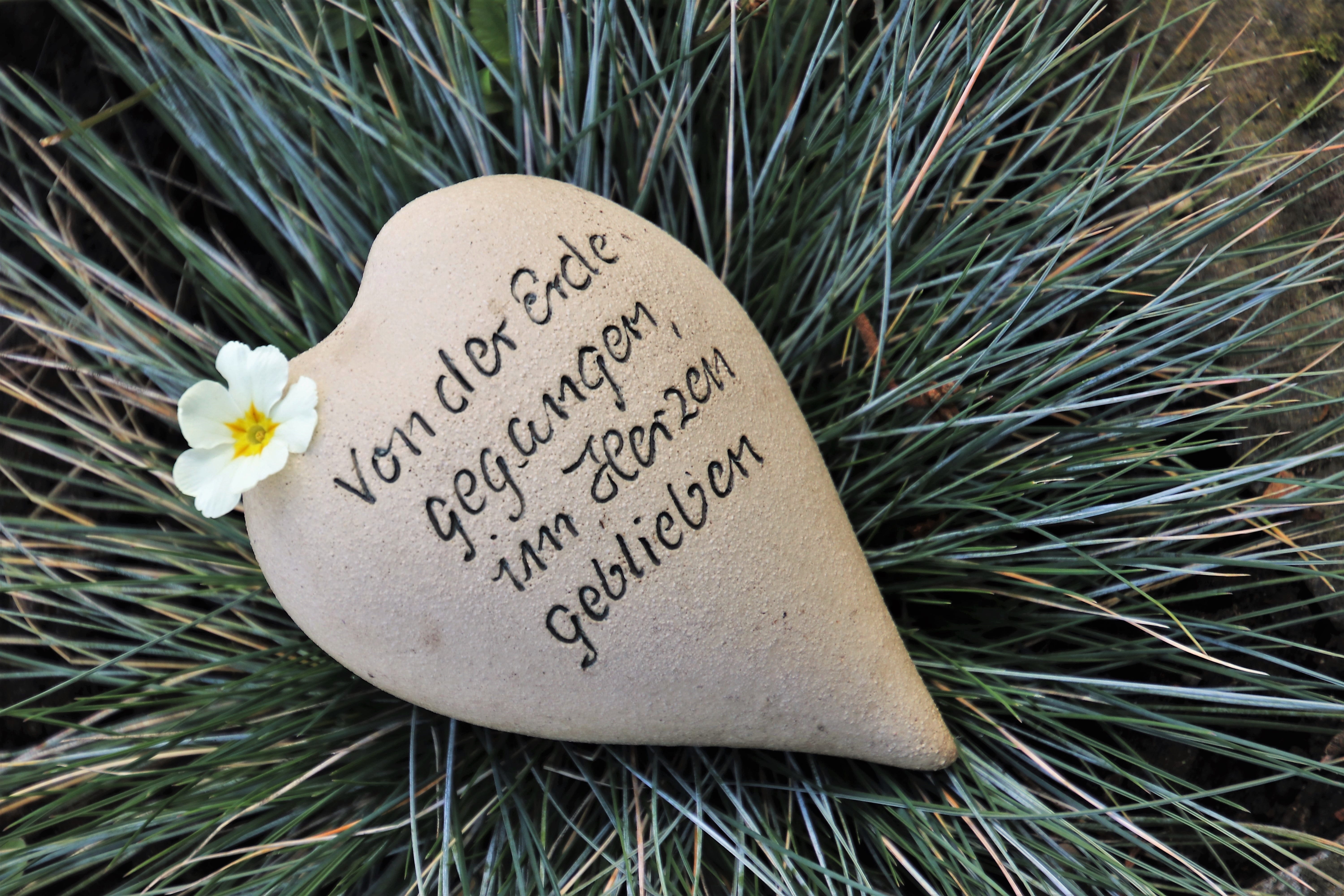 plant, grass, western script, emotion, nature, lonely, heart, 5K, close-up, christmas, memory, hope, death, outdoors, in the center, the inscriptions, HD Wallpaper