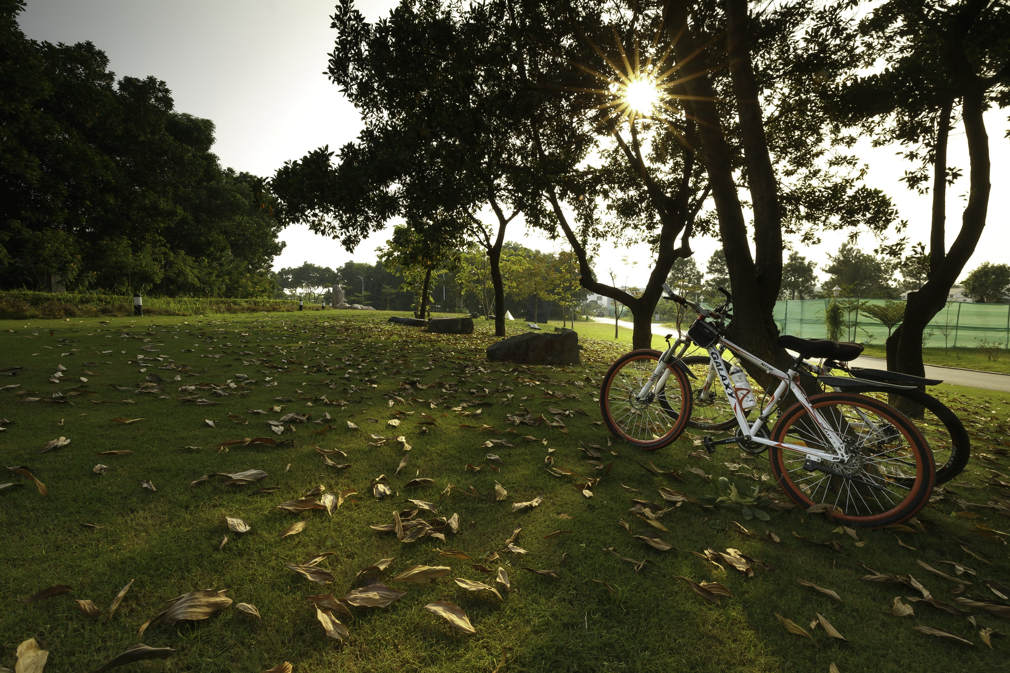 land, nature, tianắng, the sun, yellow leaves, nostalgia, sky, 2K, always have each other, bench, carpet grass, no one, transportation, bicycle, day, sadness, HD Wallpaper