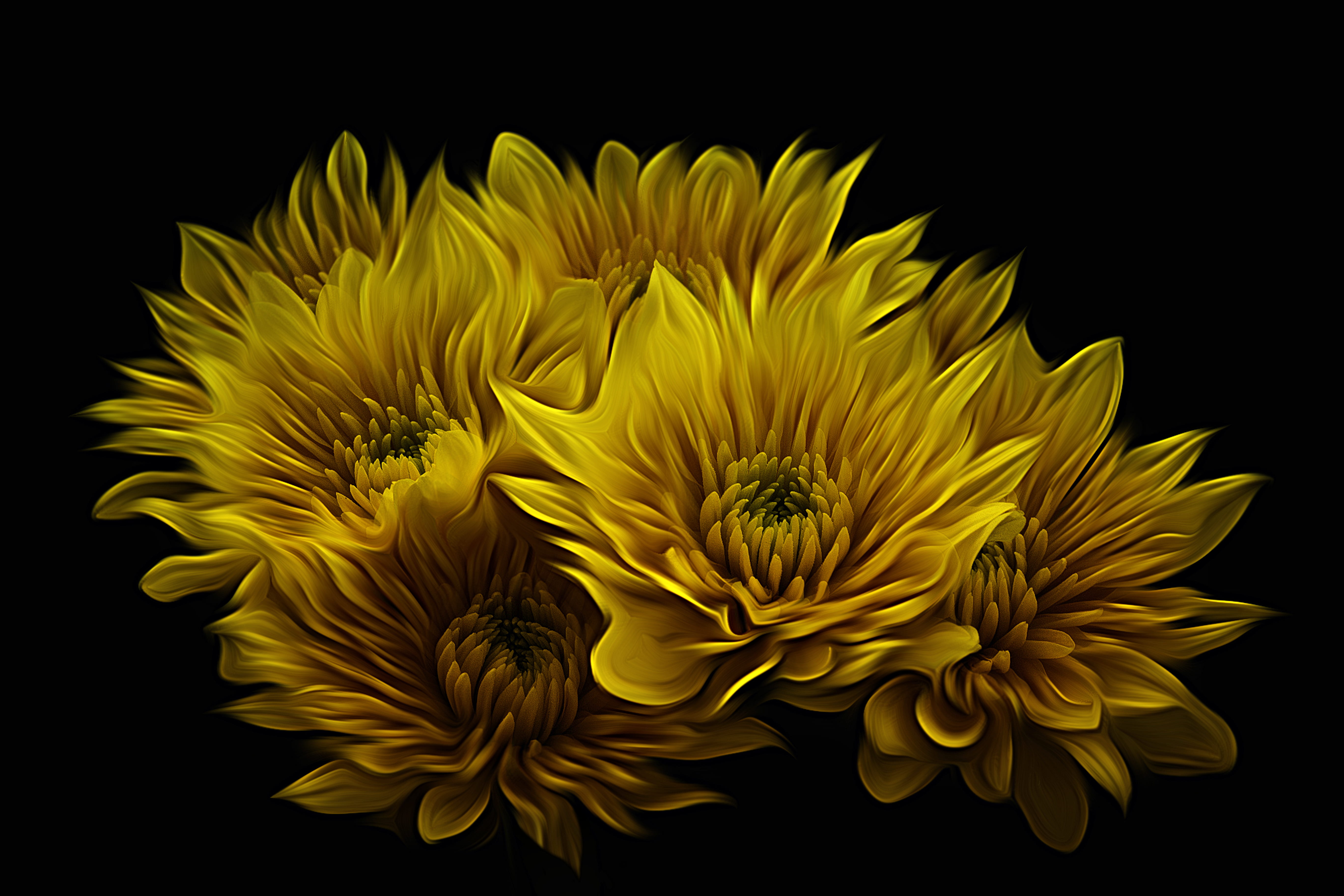 love, vulnerability, beauty in nature, no people, background, petaled, flower head, fragility, flowering plant, yellow, cut out, nature, always, freshness, HD Wallpaper