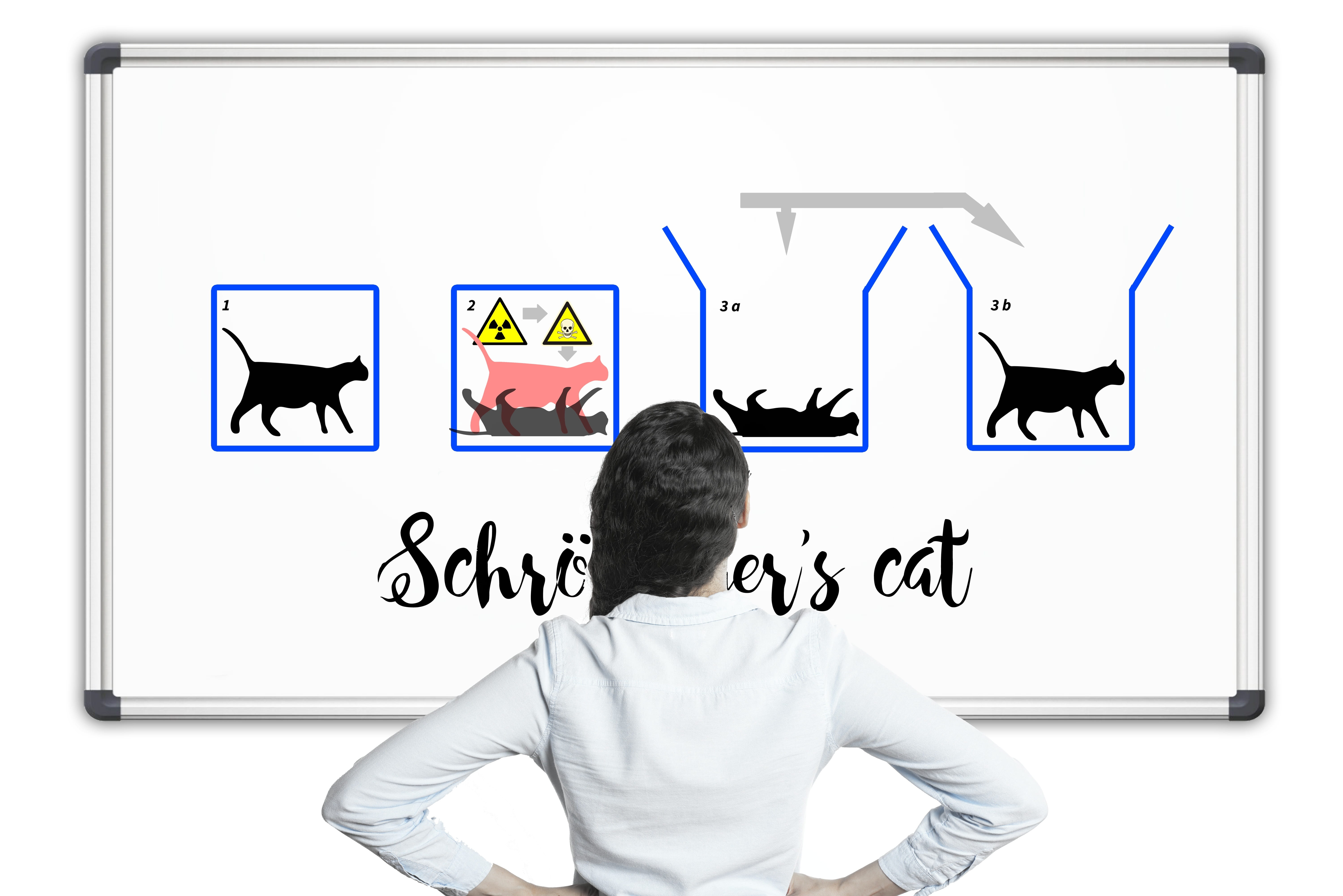 flat screen, move, device screen, woman, casual clothing, schrödinger, leisure activity, sitting, males, whiteboard, television set, lifestyles, professor, HD Wallpaper