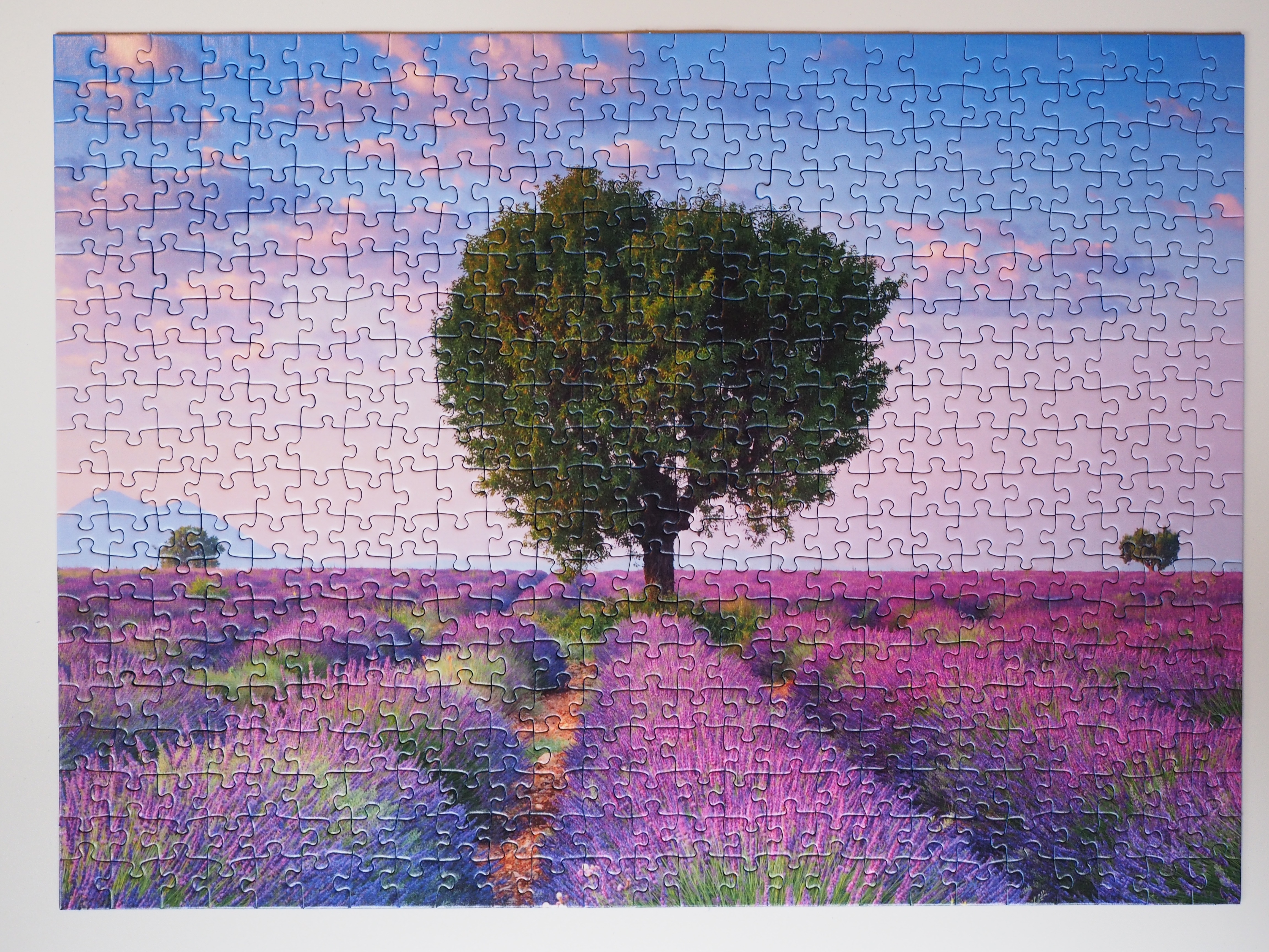 no people, flower head, nature, fragility, solved, lavender, flowerbed, freshness, plant, flower, outdoors, travel destinations, puzzle, tree, close-up, HD Wallpaper