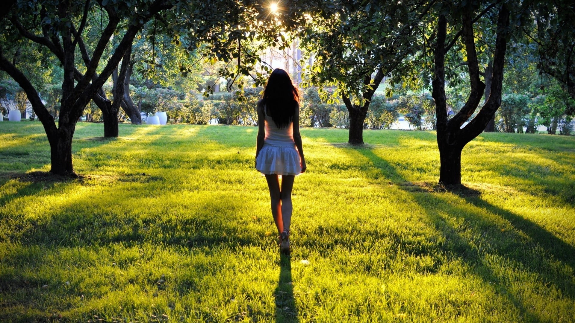 land, women, outdoors, rear view, walking, lifestyles, miniskirt, white, grass, trees, nature, real people, field, fashion, trunk, one person, beauty in nature, HD Wallpaper