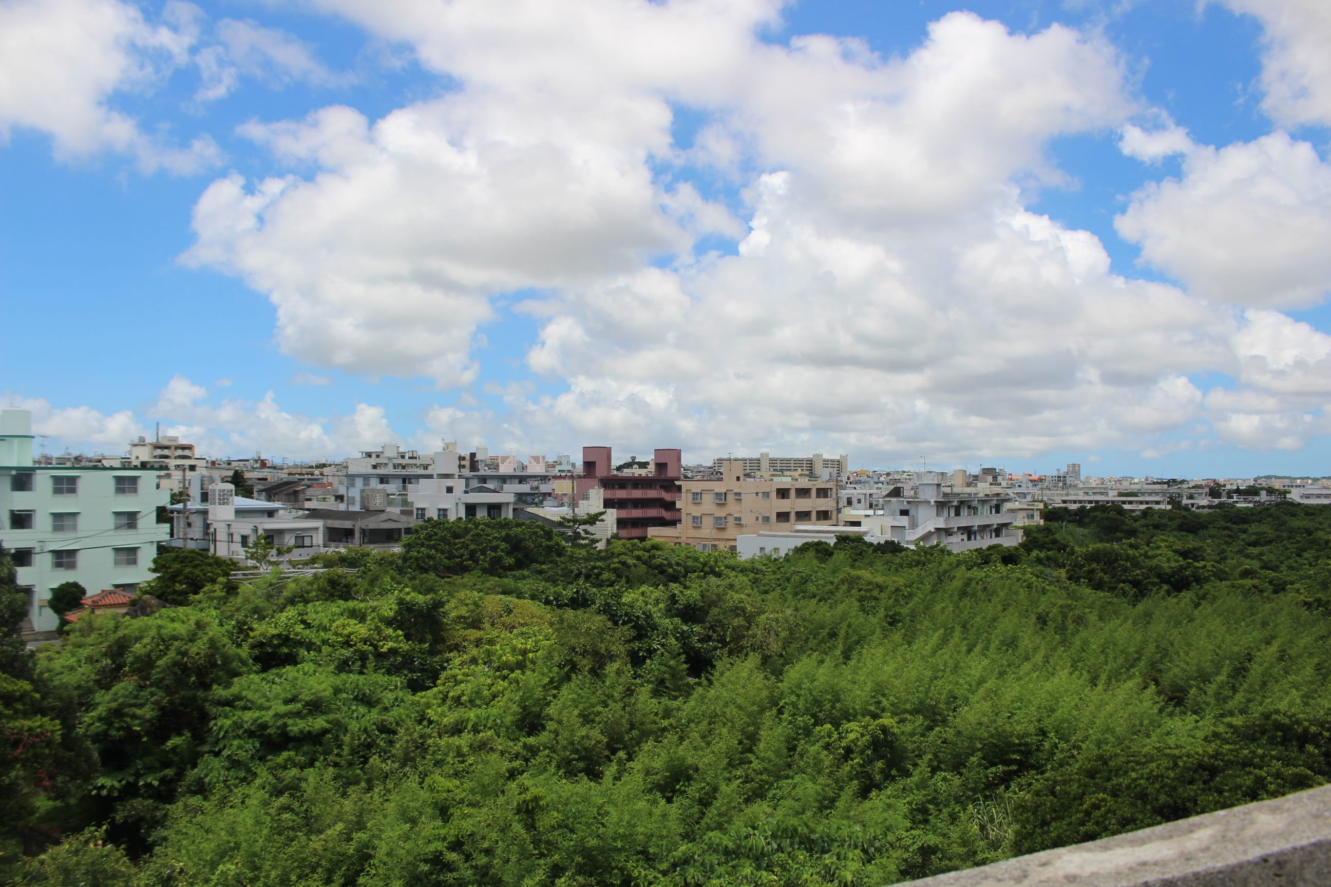 landscape, building exterior, nature, cloud - sky, tree, no people, residential district, outdoors, apartment, city, green color, building, growth, beauty in nature, HD Wallpaper