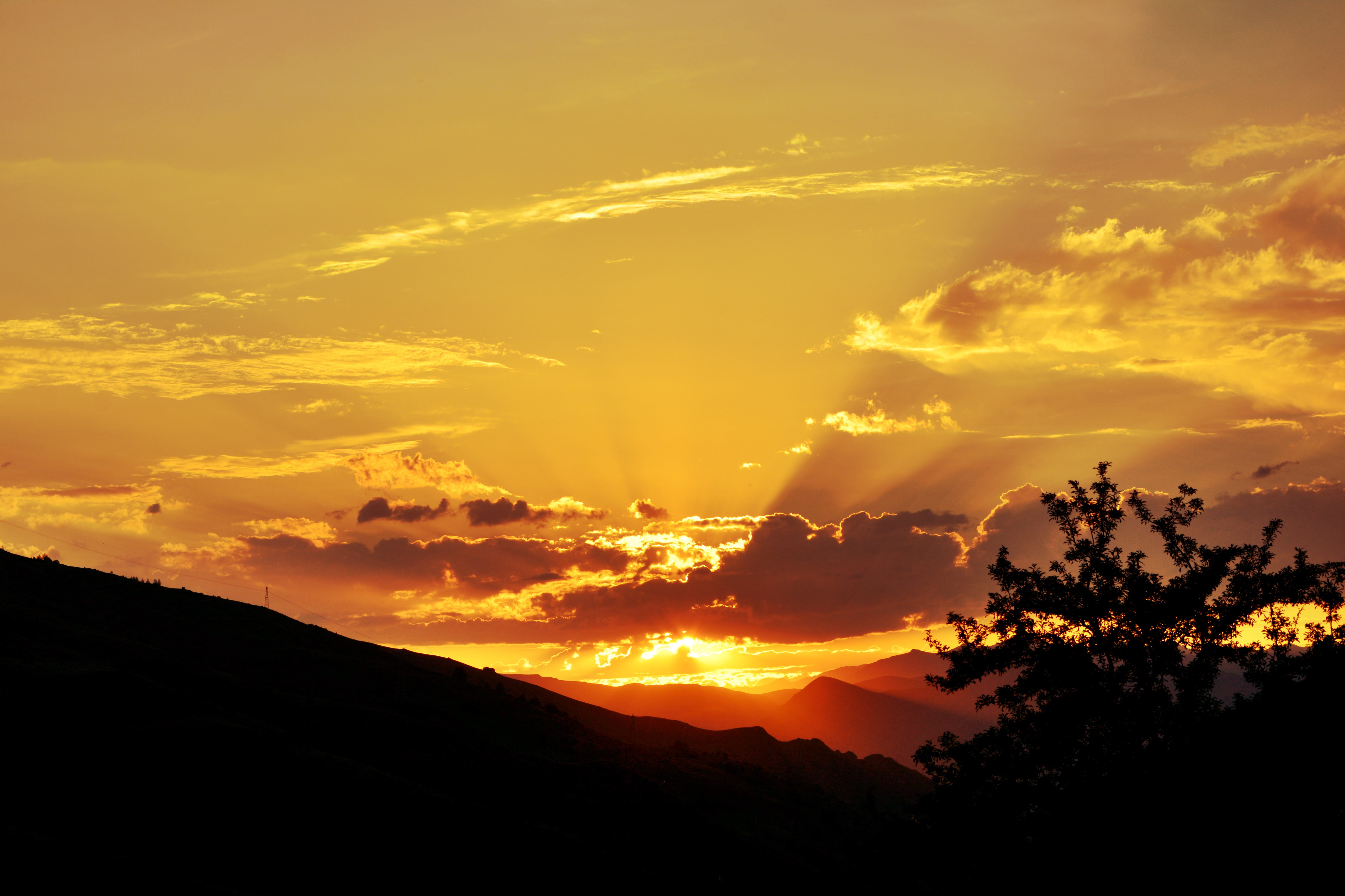 landscapes nature, light, orange color, idyllic, grass, no people, beauty, green, grassland, snow, sunset, dawn, plant, blue, background, holiday, sunny day, HD Wallpaper