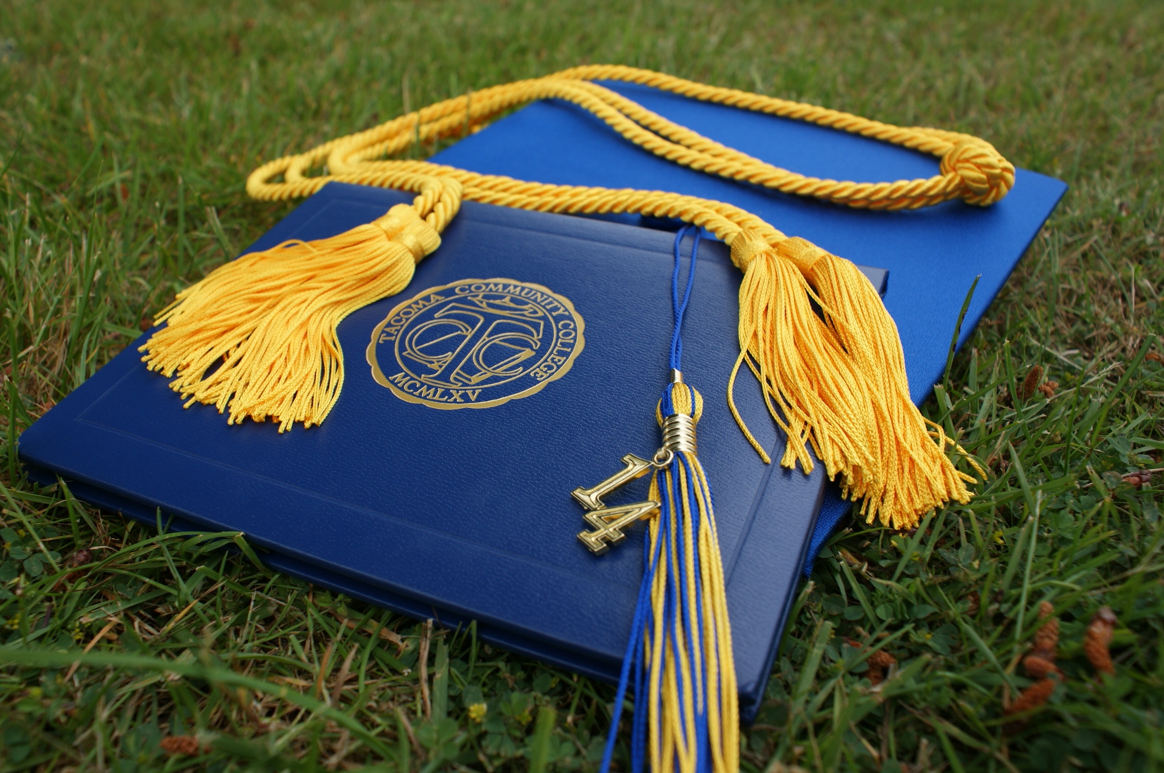 close-up, degree, craft, art and craft, rope, personal accessory, high angle view, hatg, success, yellow, blue, day, diploma, study, 1080P, university, HD Wallpaper