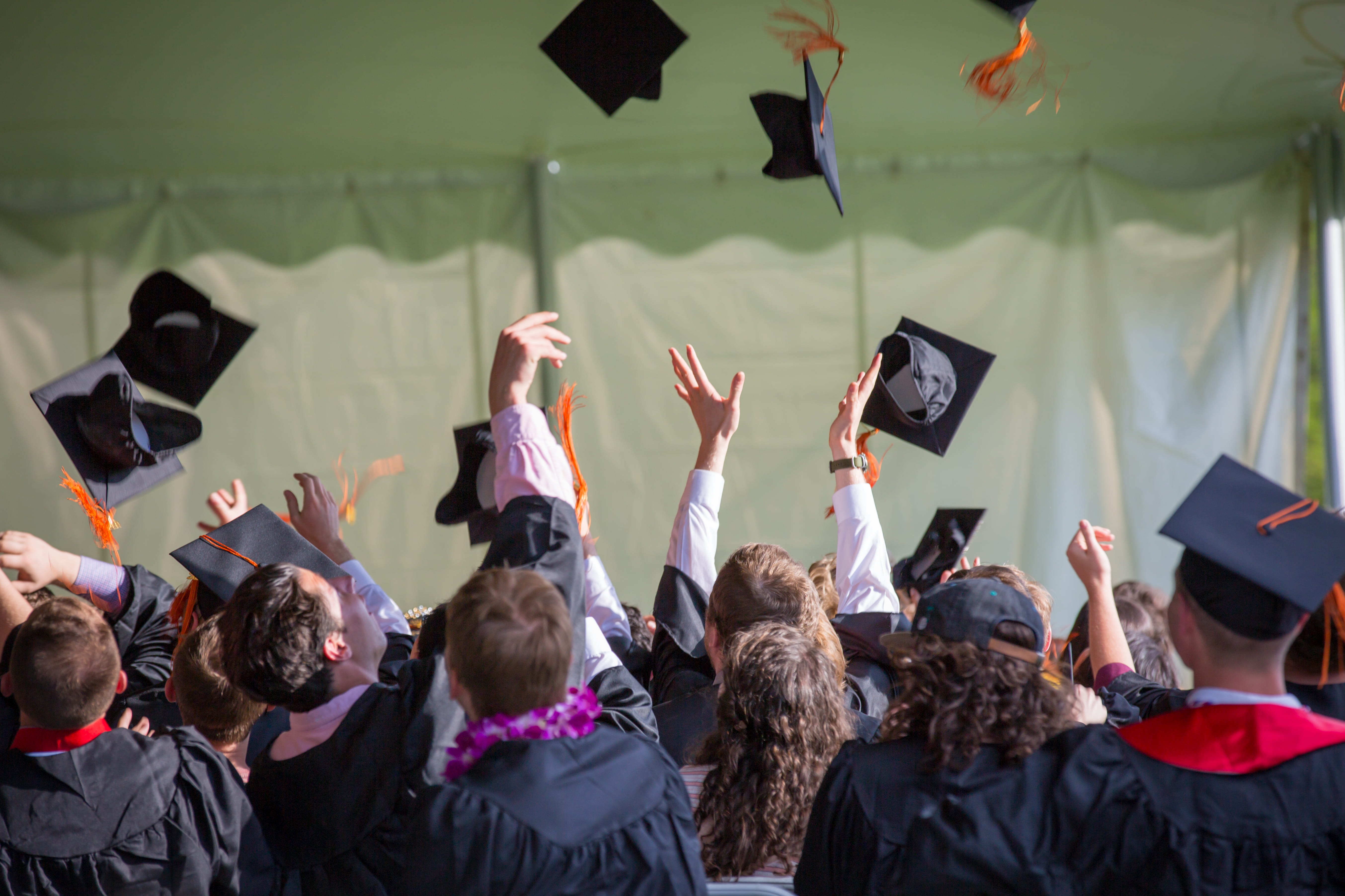 adult, arms raised, throwing, education, throw, ceremony, emotion, large group of people, people, real people, excitement, graduates, graduation caps, outdoors, HD Wallpaper