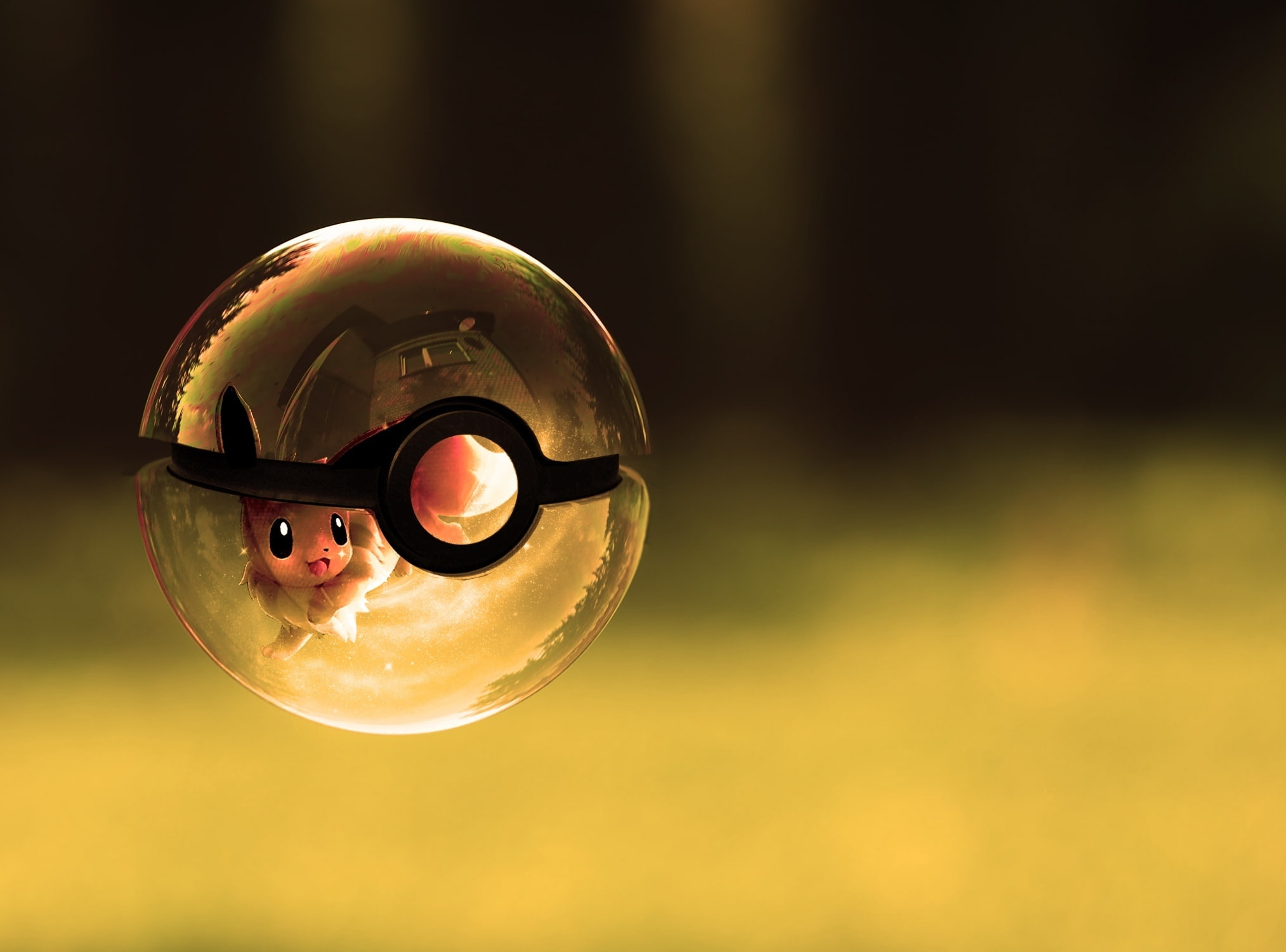 1080P, Bubble, Pokémon, Eevee (Pokémon), Pokeball, Eeveelutions, Ship, HD Wallpaper