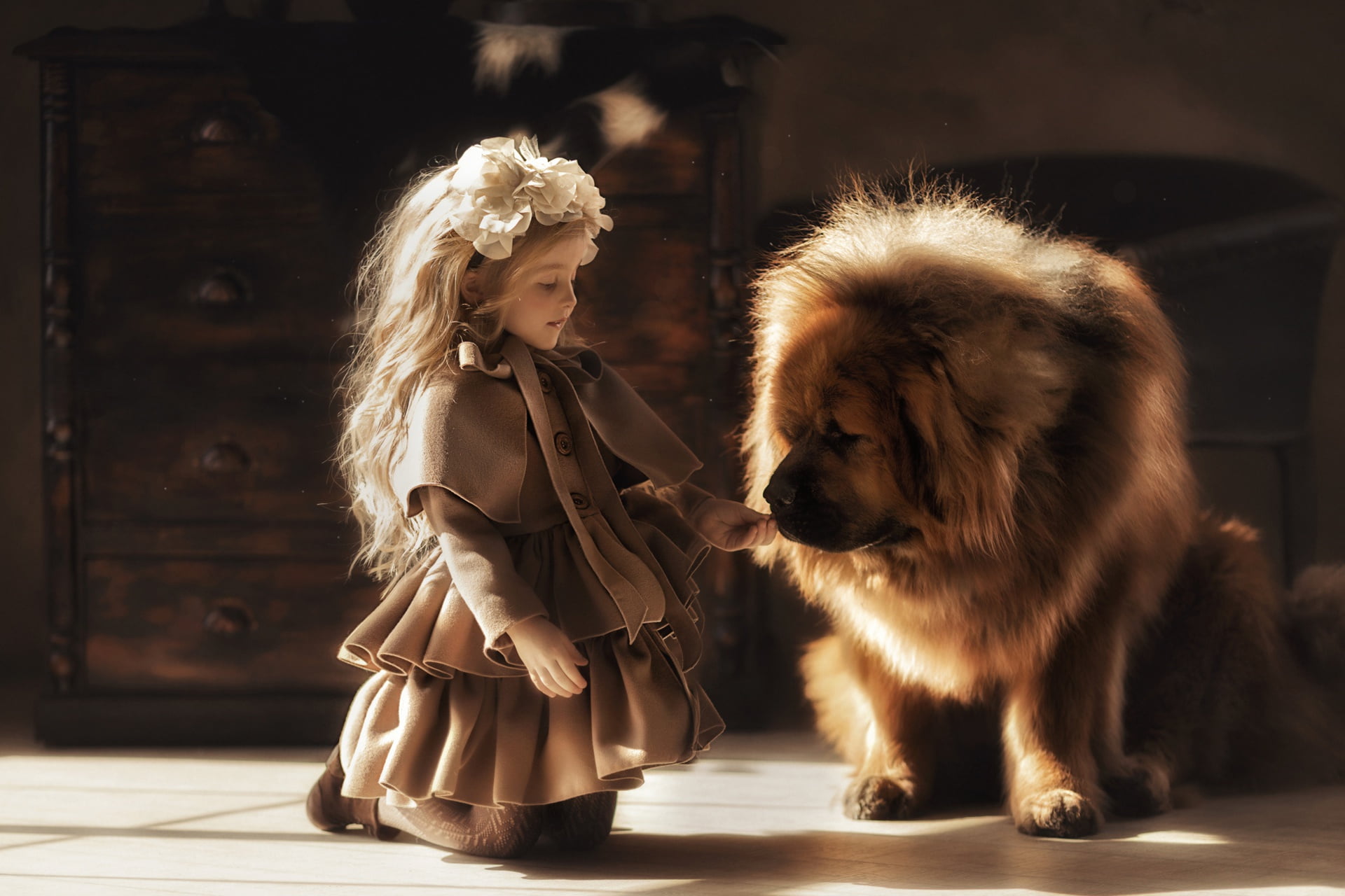 girl, friends, dog, 1080P, a great friend, Tibetan Mastiff, Valeriya Mytnik, HD Wallpaper