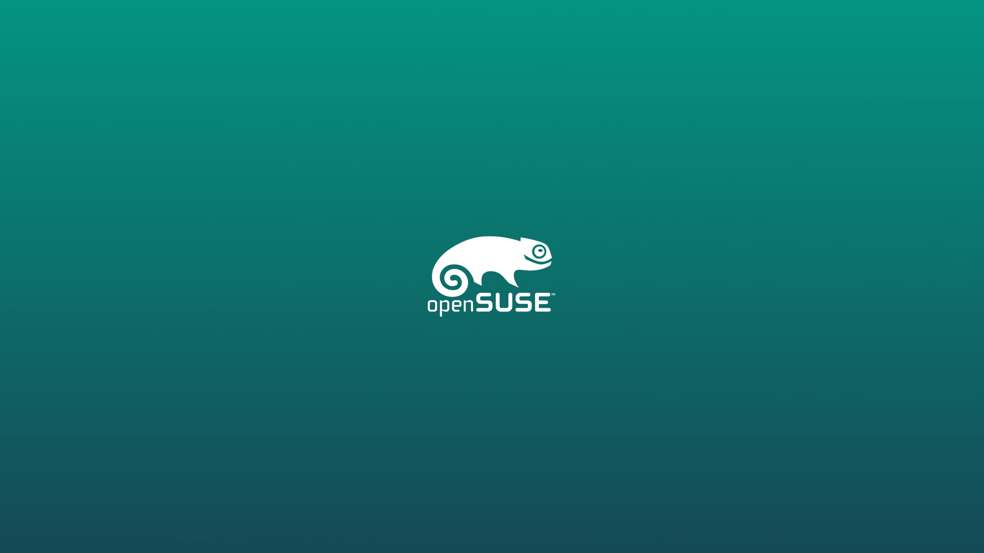 internet, colored background, cut out, creativity, copy space, close-up, communication, technology, openSUSE, gecko, green color, white color, computer icon, HD Wallpaper