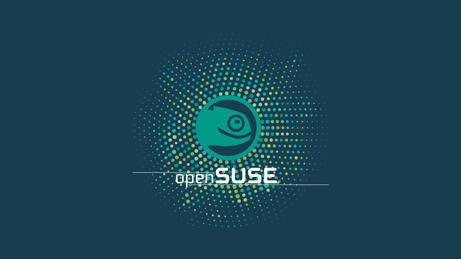 Gecko, OpenSUSE, 720P, Linux, HD Wallpaper