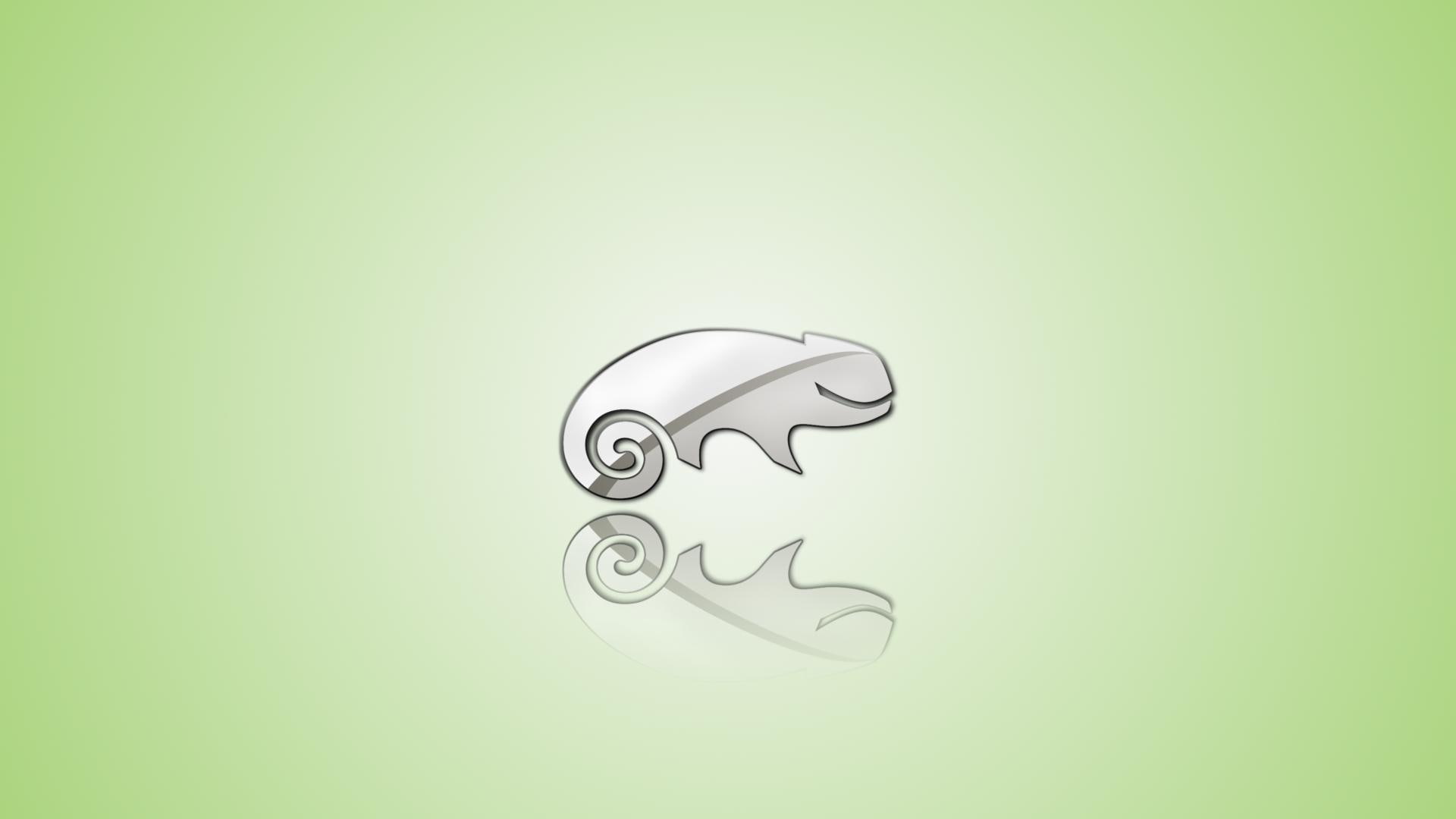 logo, opensuse, silver, 1080P, chameleon, linux, HD Wallpaper