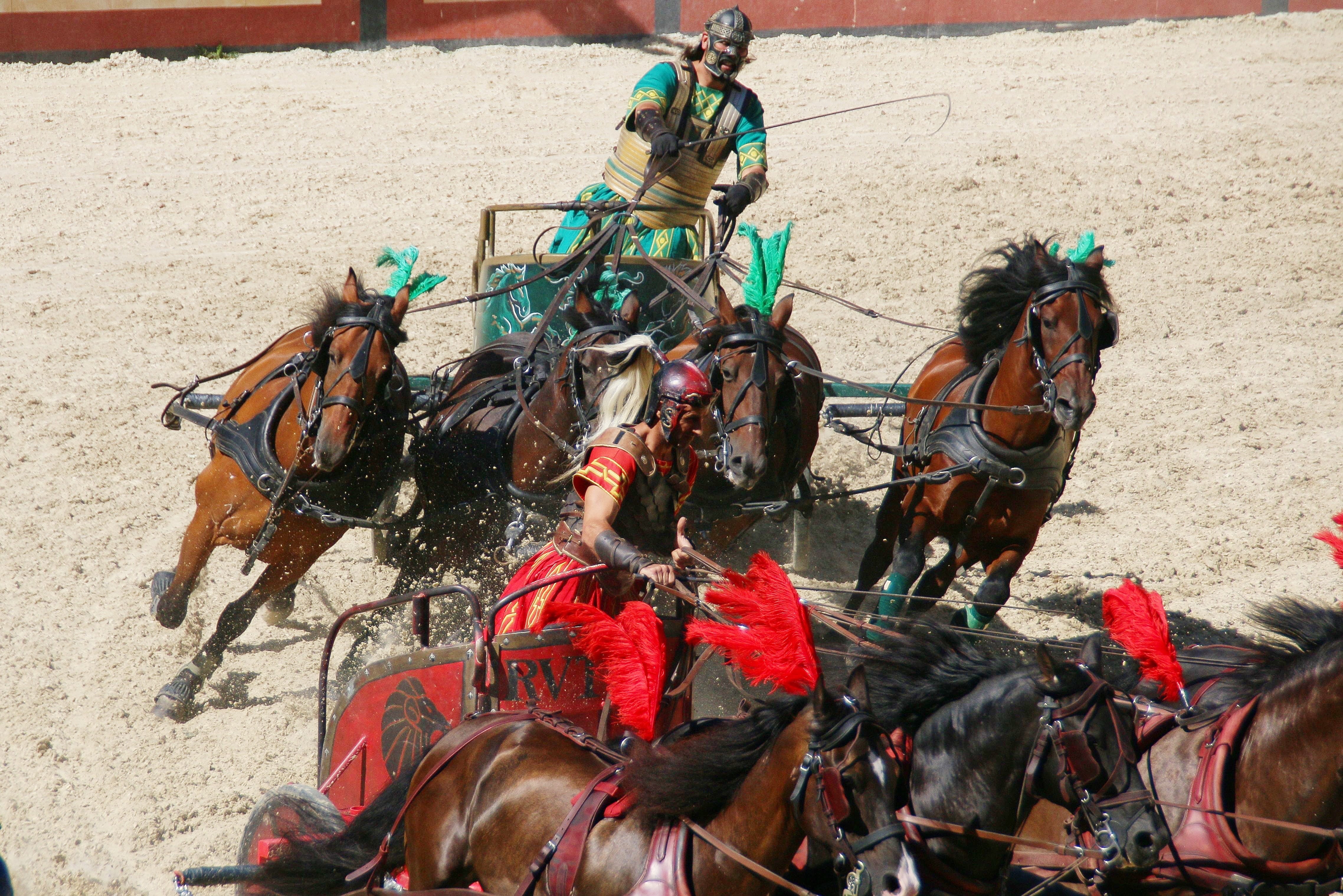 nature, carriage, rome, fighting, real people, colloseum, battle, day, animal wildlife, land, roman, show, working animal, vertebrate, herbivorous, old, HD Wallpaper