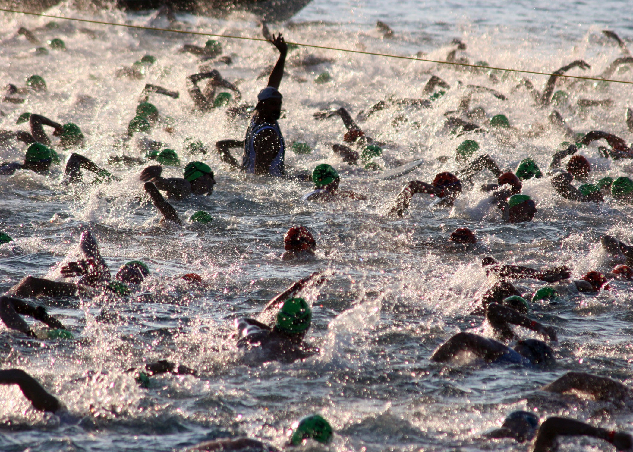 nature, sport, rock - object, outdoors, race, selective focus, swimming start, rock, animal wildlife, large group of animals, open water, competitors, swimming, HD Wallpaper