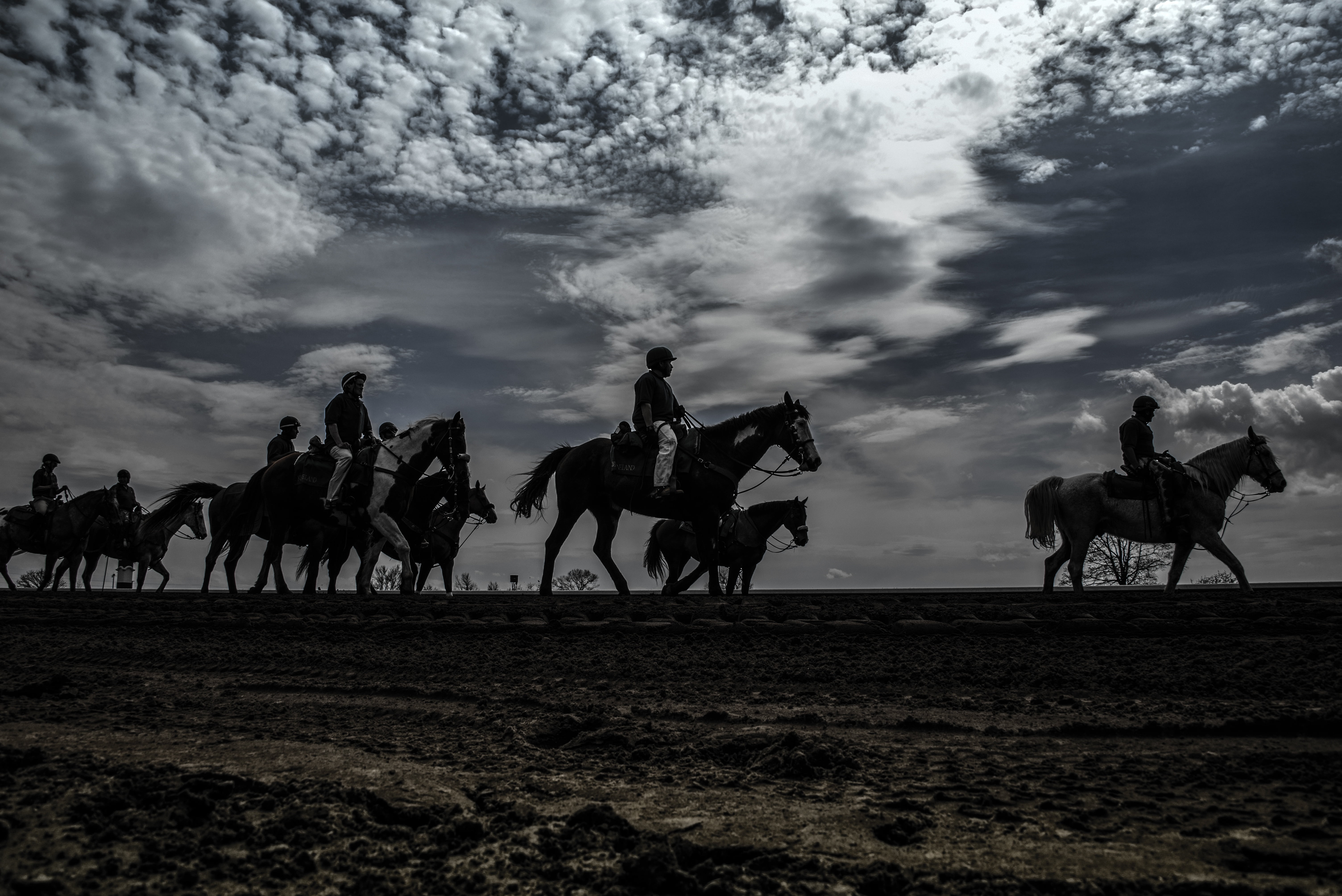 jockey, group, horse race, fast, group of animals, mammal, riding, activity, ride, person, animal themes, photography, vertebrate, pets, speed, purebred, HD Wallpaper