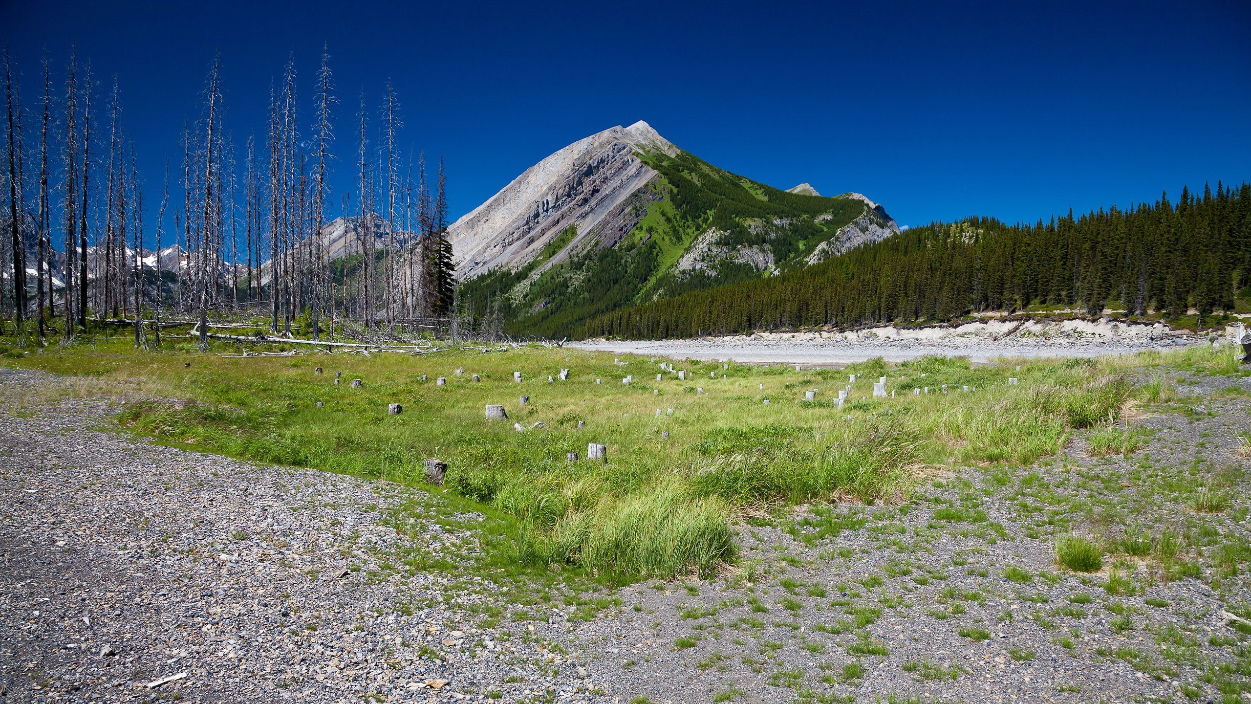 download nature  pack 2560x1440, 2K, HD Wallpaper