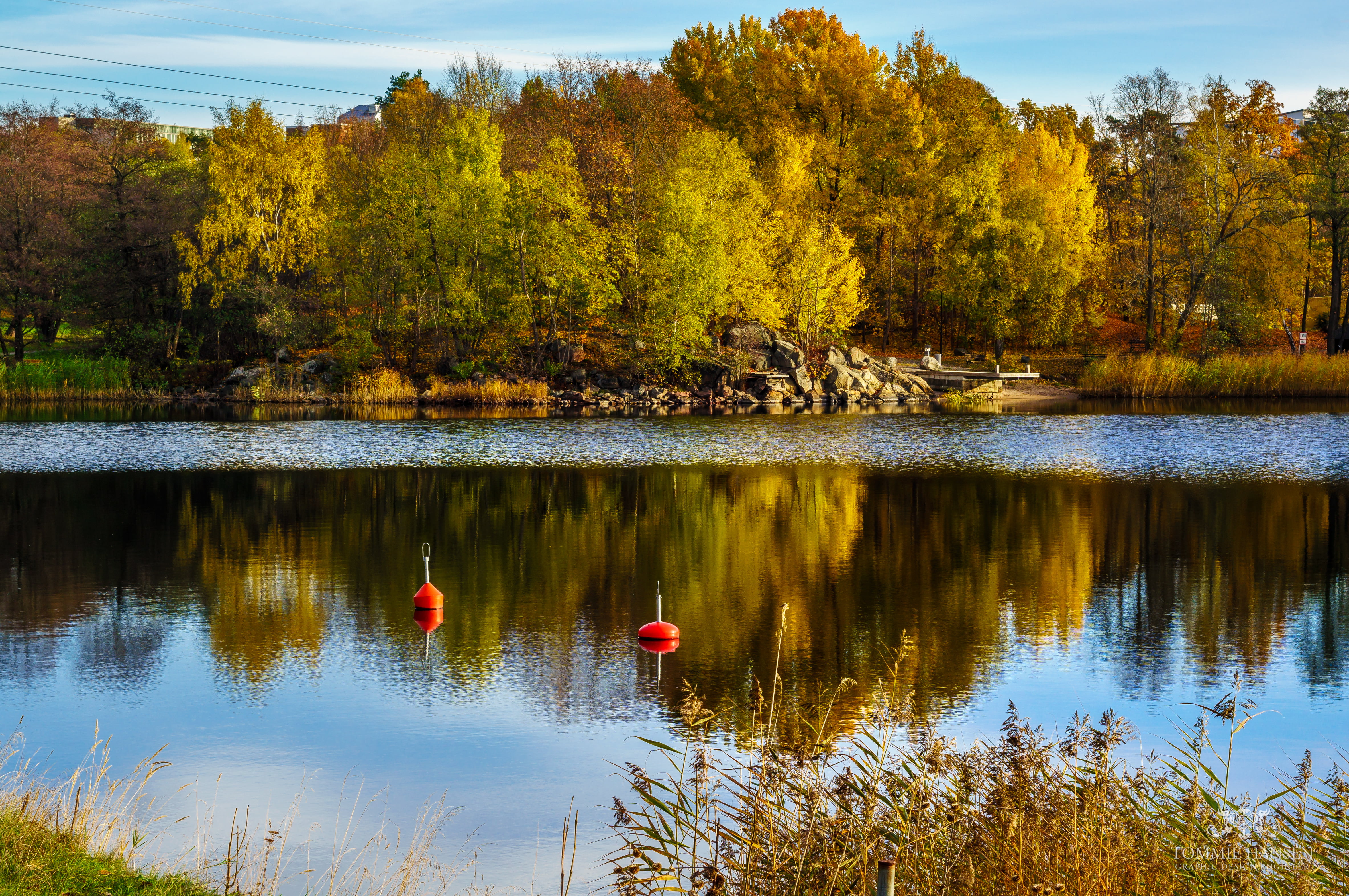 Ulriksdal, Sweden, Landscape, Danderyd, Nature, green, reflection, water, lake, autumn, Sony, 4K, Stockholm County, yellow, Colorful, Fall, Waters, Tree, HD Wallpaper