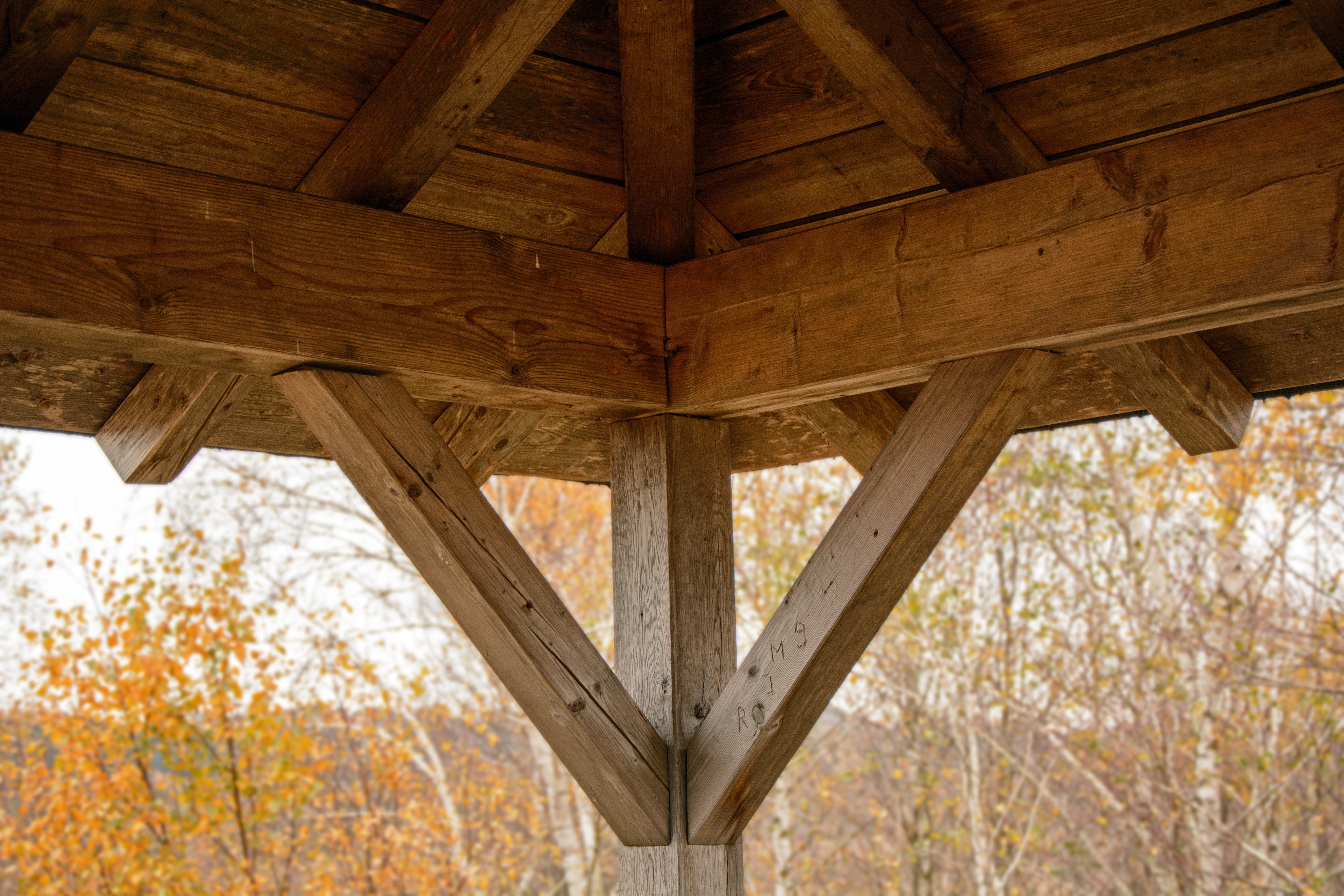 strive, wood, timber construction, studs, autumn, construction, day, craft, nature, non-urban scene, components, zimmermann, tree, outdoors, low angle view, HD Wallpaper