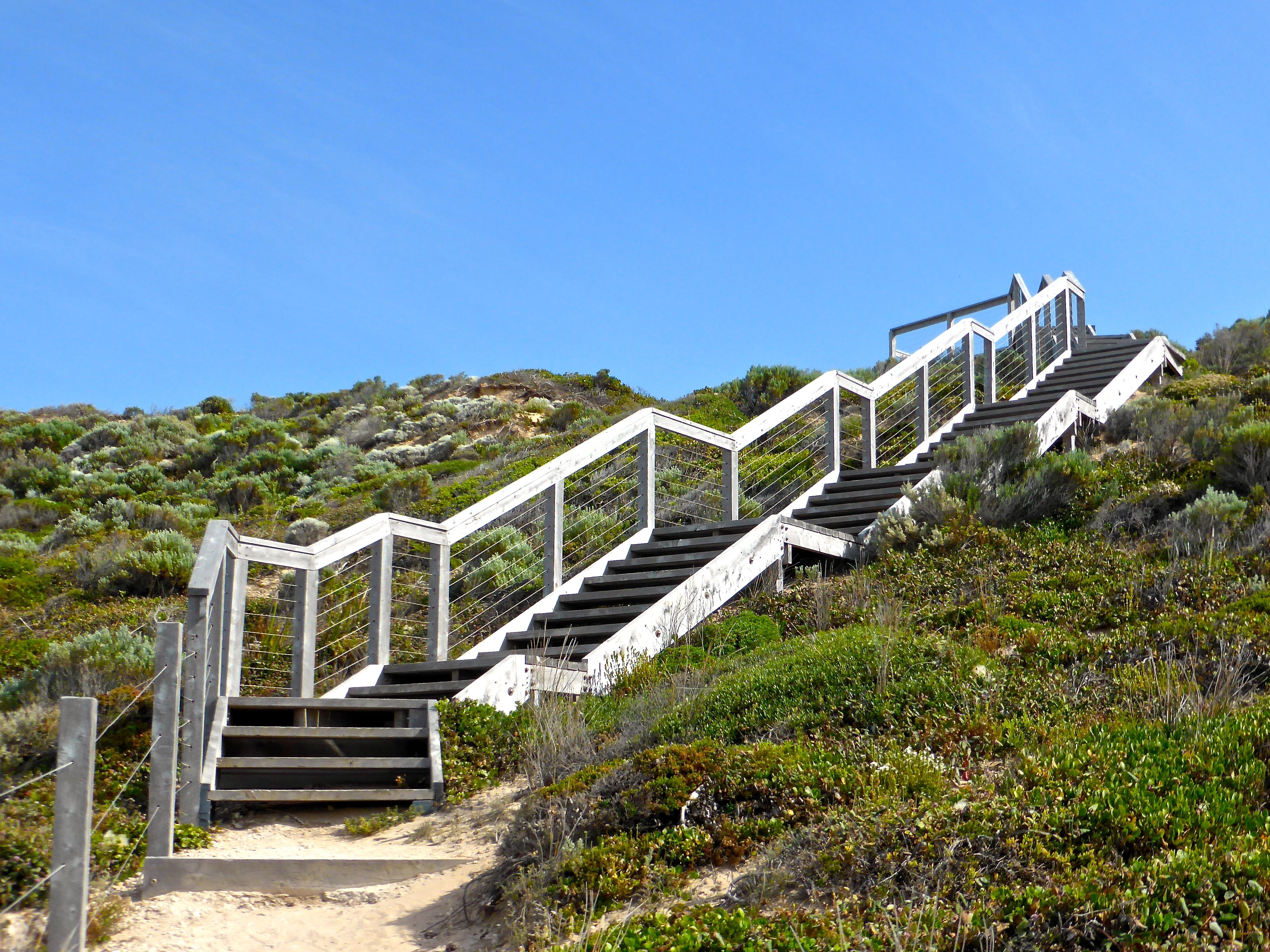 direction, climbing, steps, climb, stairway, sky, blue, rise, architecture, tree, growth, way, day, outdoor, nature, low angle view, 4K, building exterior, HD Wallpaper