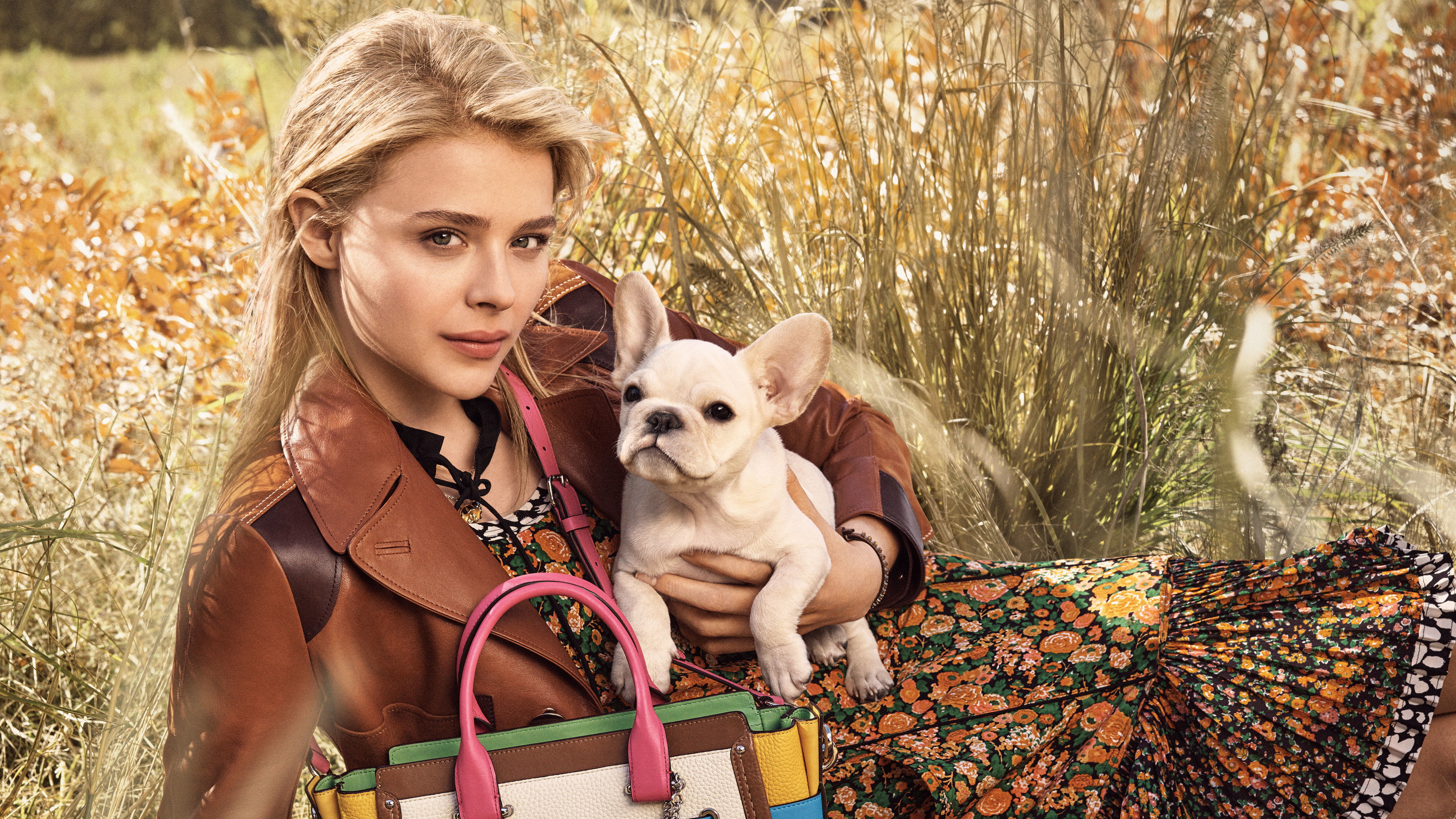 Photoshoot, 4K, nature, women, domestic, autumn, pets, Chloe Grace Moretz, grass, one person, 2016, canine, pet owner, one animal, real people, mammal, HD Wallpaper