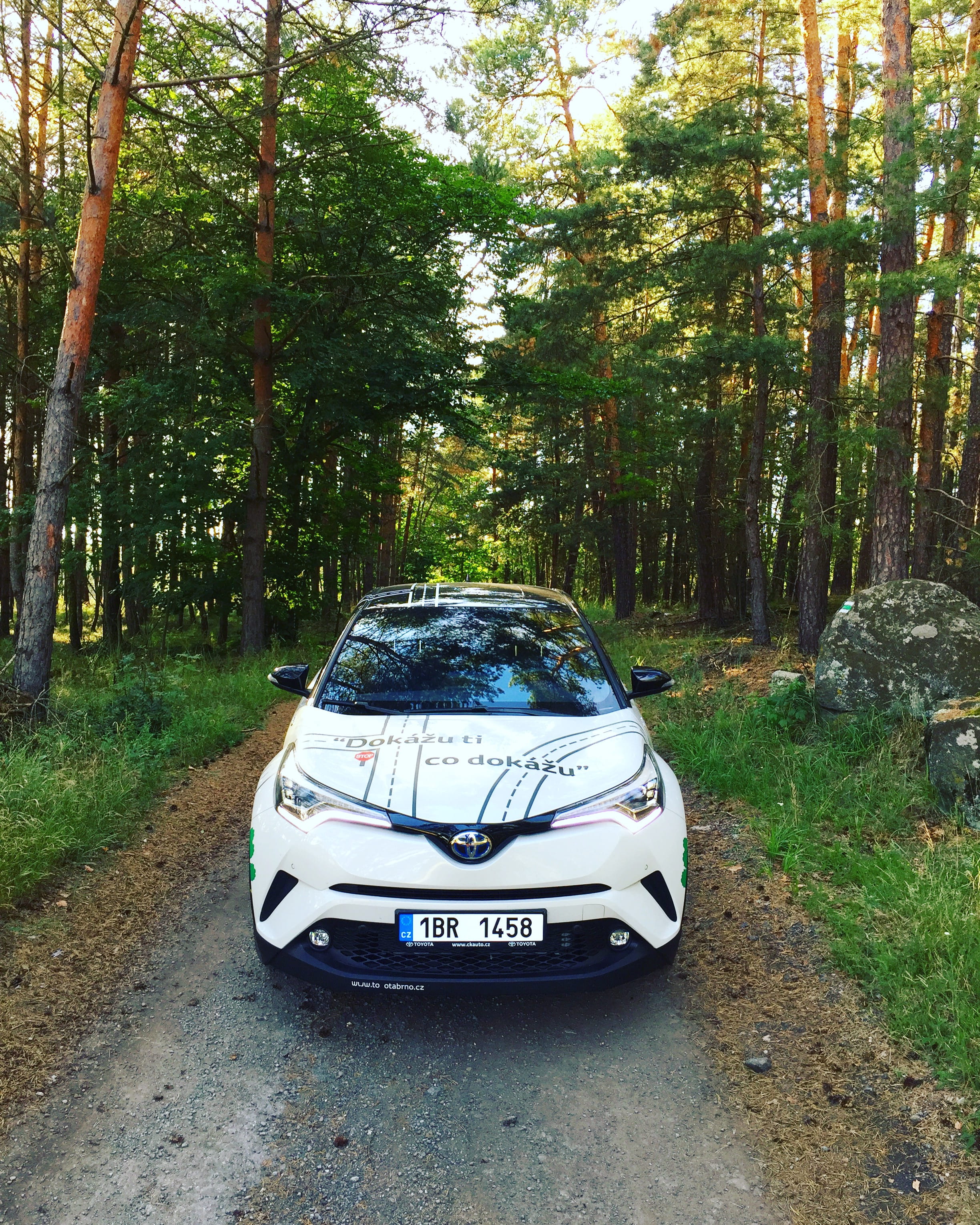 plant, outdoors, hybrid, suv, tree, white car, trunk, toyota, land vehicle, white, motor vehicle, land, green, eco, nárameč, growth, car, no people, forest, Phone HD Wallpaper
