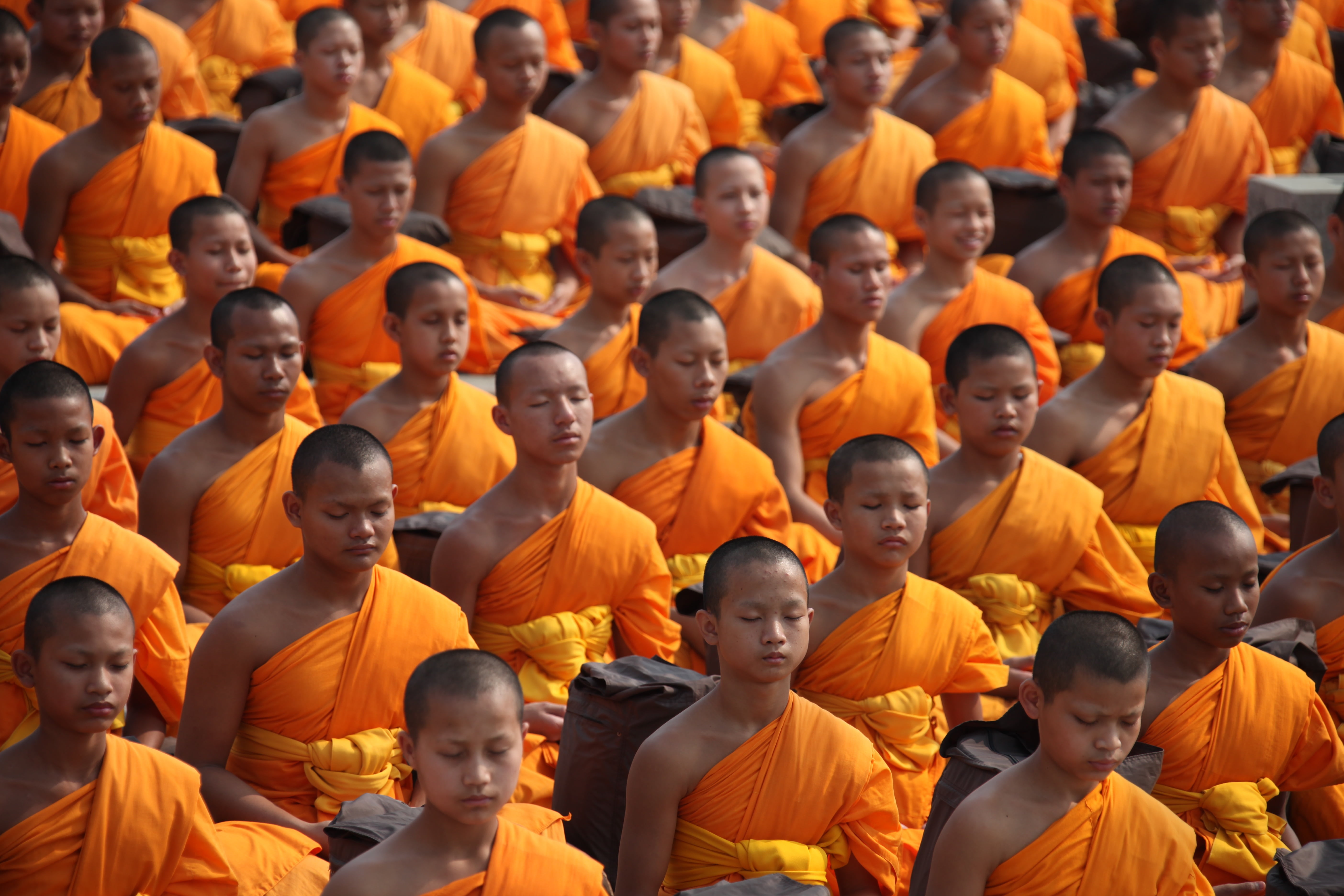 orange, togetherness, group of people, prayer, crowd, in a row, day, dom, ceremony, spirituality, novices, asia, million, tradition, spectator, temple, HD Wallpaper