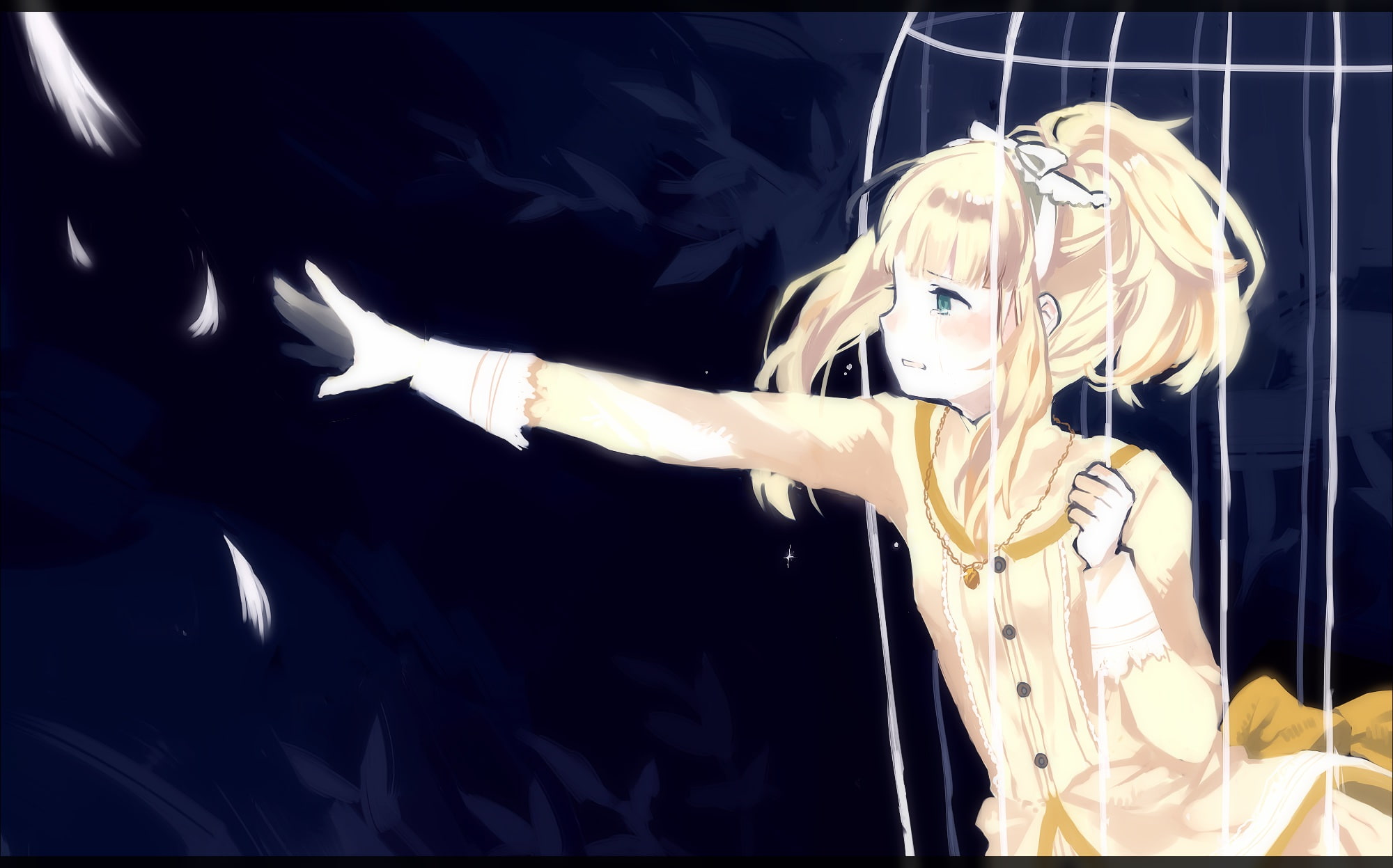 sound, von, itaru, mori, feathers, 1080P, wettin, ido, tangent, marchen, horizon, tears, tan, elisabeth, cage, HD Wallpaper
