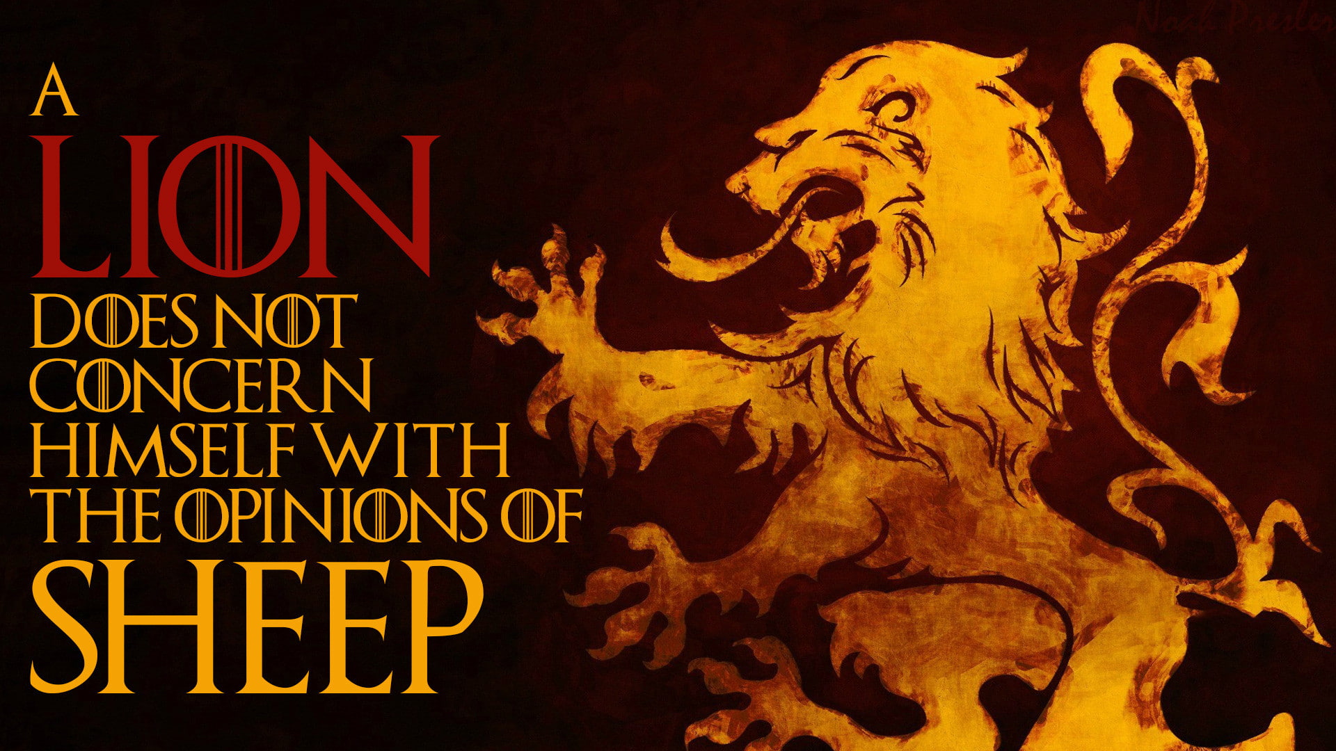 sheep, 1080P, Quotes, 1920x1080, Lion, metaphore, opinion, HD Wallpaper