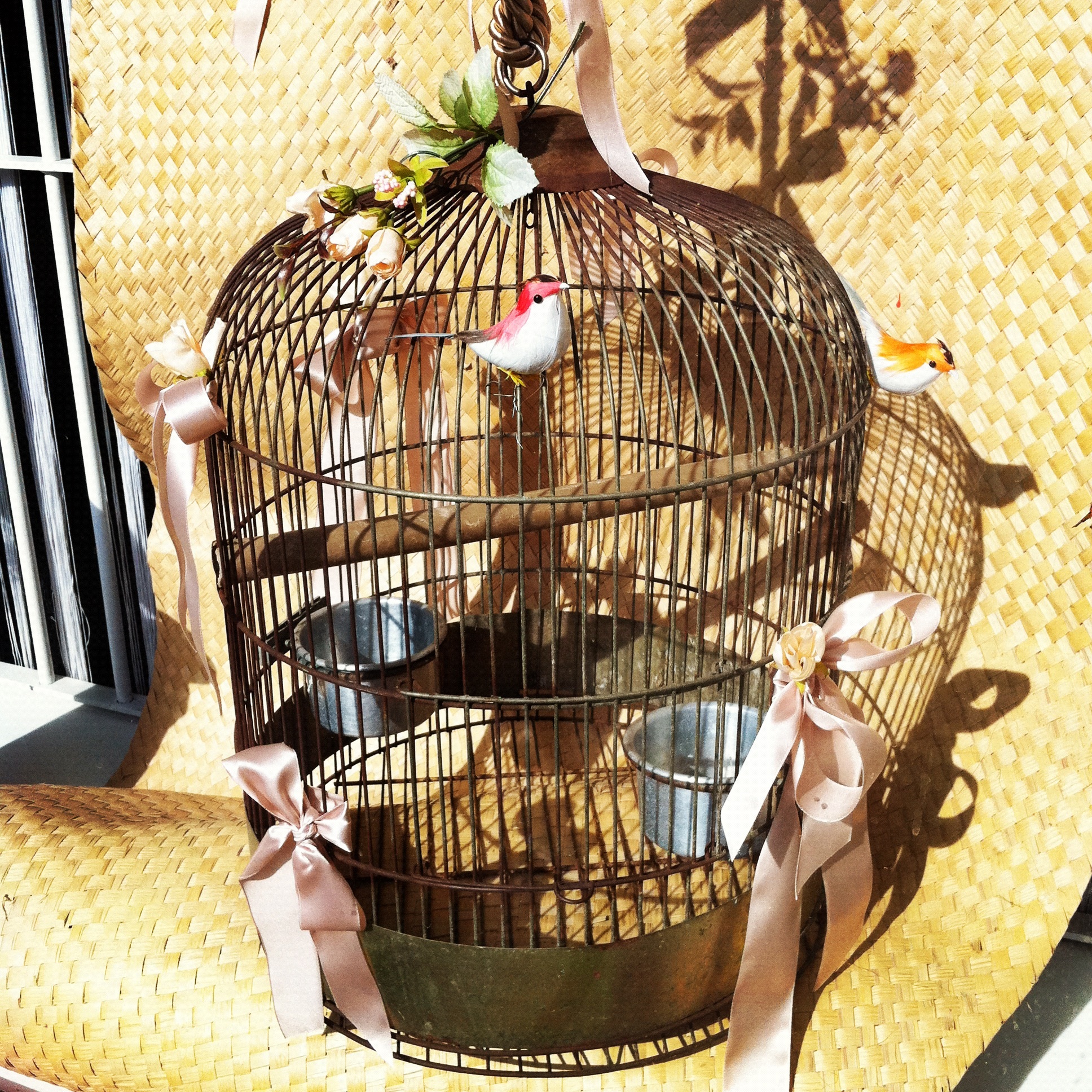 birdcage, bird, food, animal themes, wicker, food and drink, birds, animal wildlife, sunlight, animal, symbol, liberty, day, no people, vertebrate, container, Phone HD Wallpaper