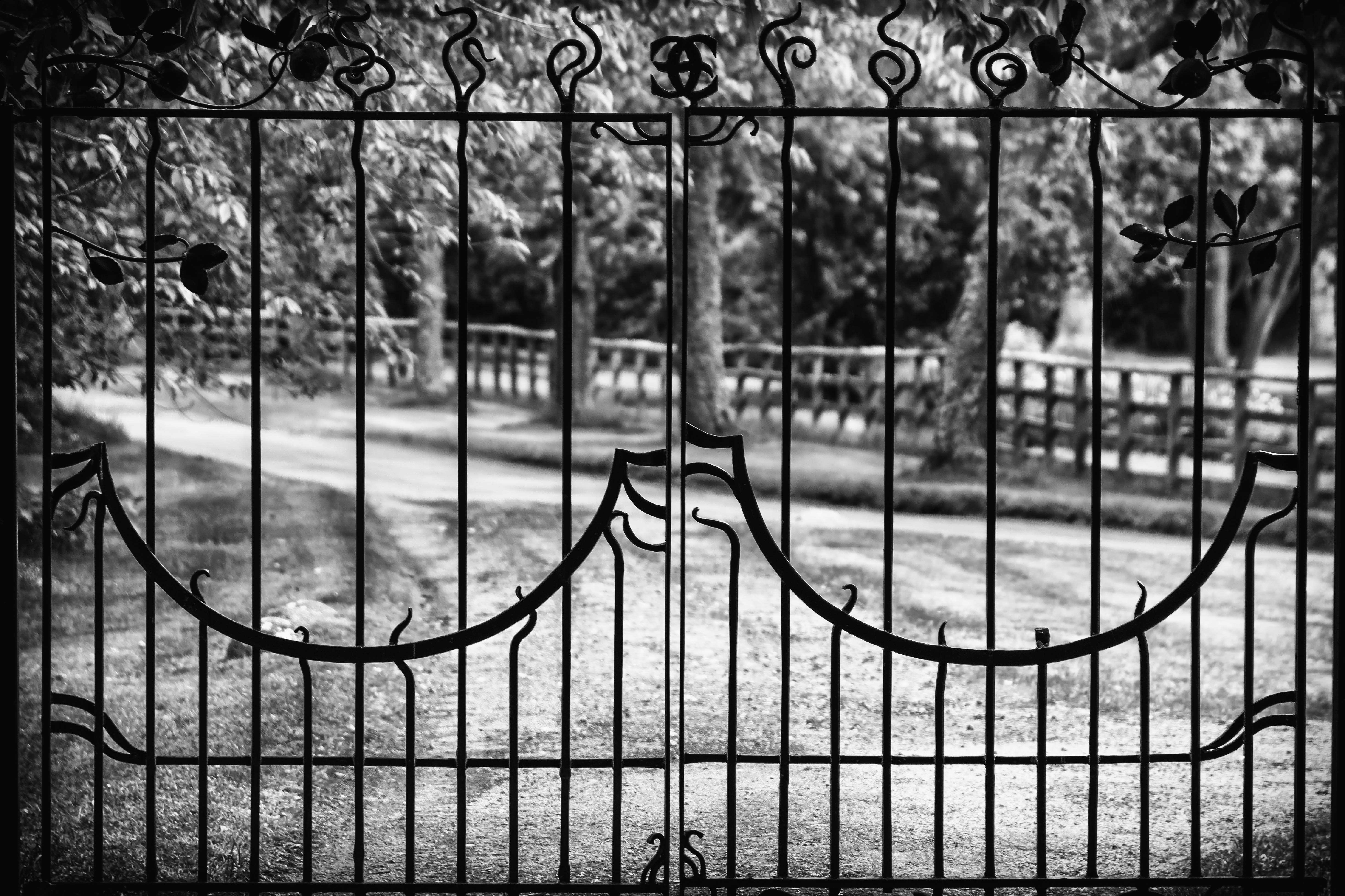 outdoors, window, city, architecture, plant, shut out, Input, mystical, tree, selective focus, wrought iron, door, metal fence, 5K, metal, photo, dom, HD Wallpaper