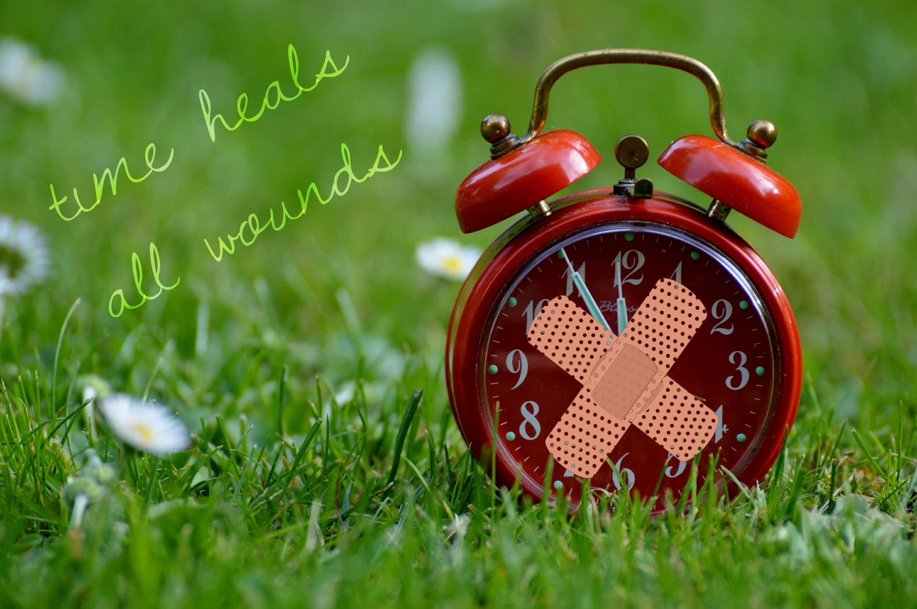 nature, springtime, encourage, consolation prize, man made, green color, trauma, time, photography, outdoors, close-up, clock, consolation, plain, red, HD Wallpaper