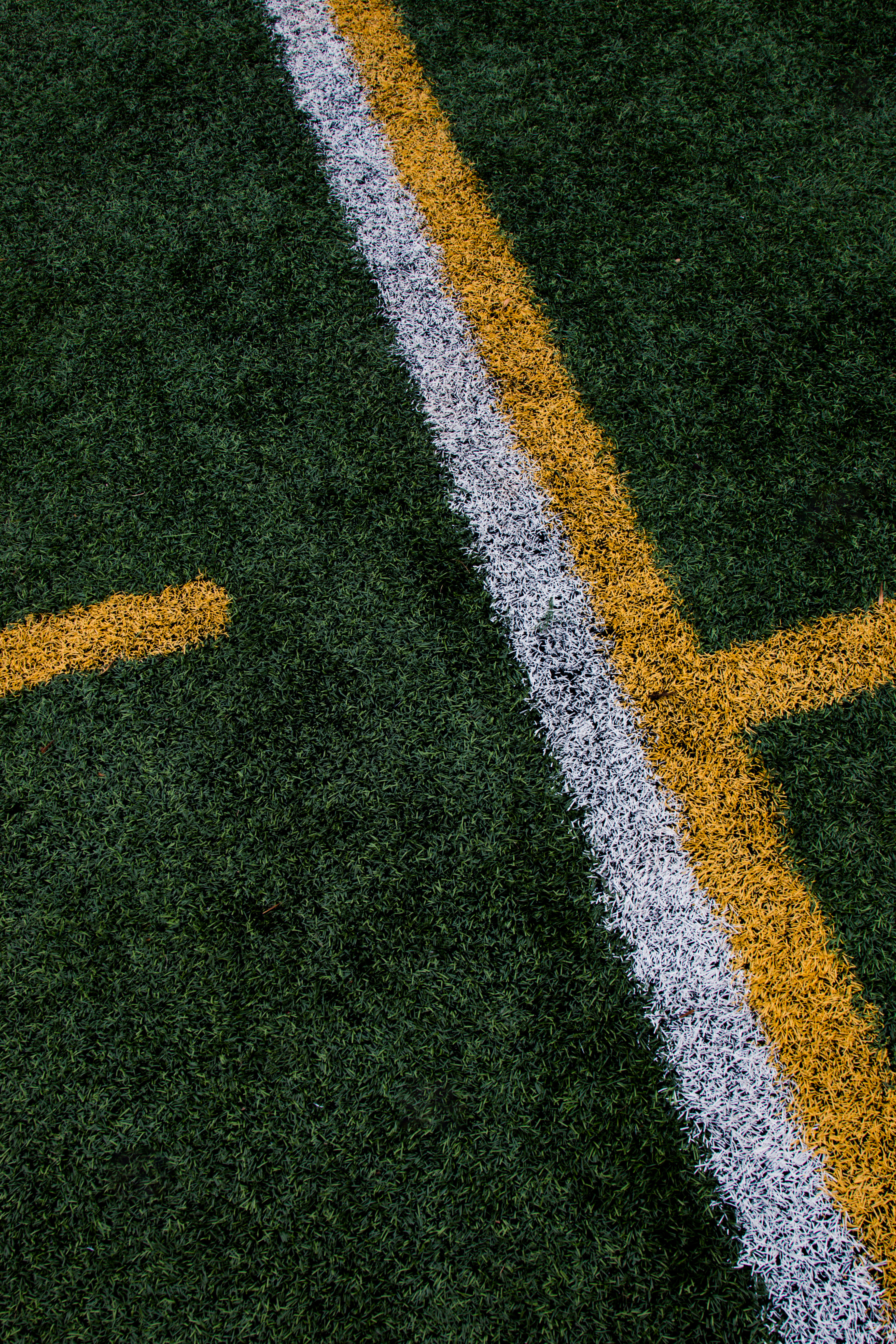 bench, competitive sport, retro, autumn, playing field, jump, soccer field, green color, organise, vintage, competition, background, explore, turf, landscape, Phone HD Wallpaper