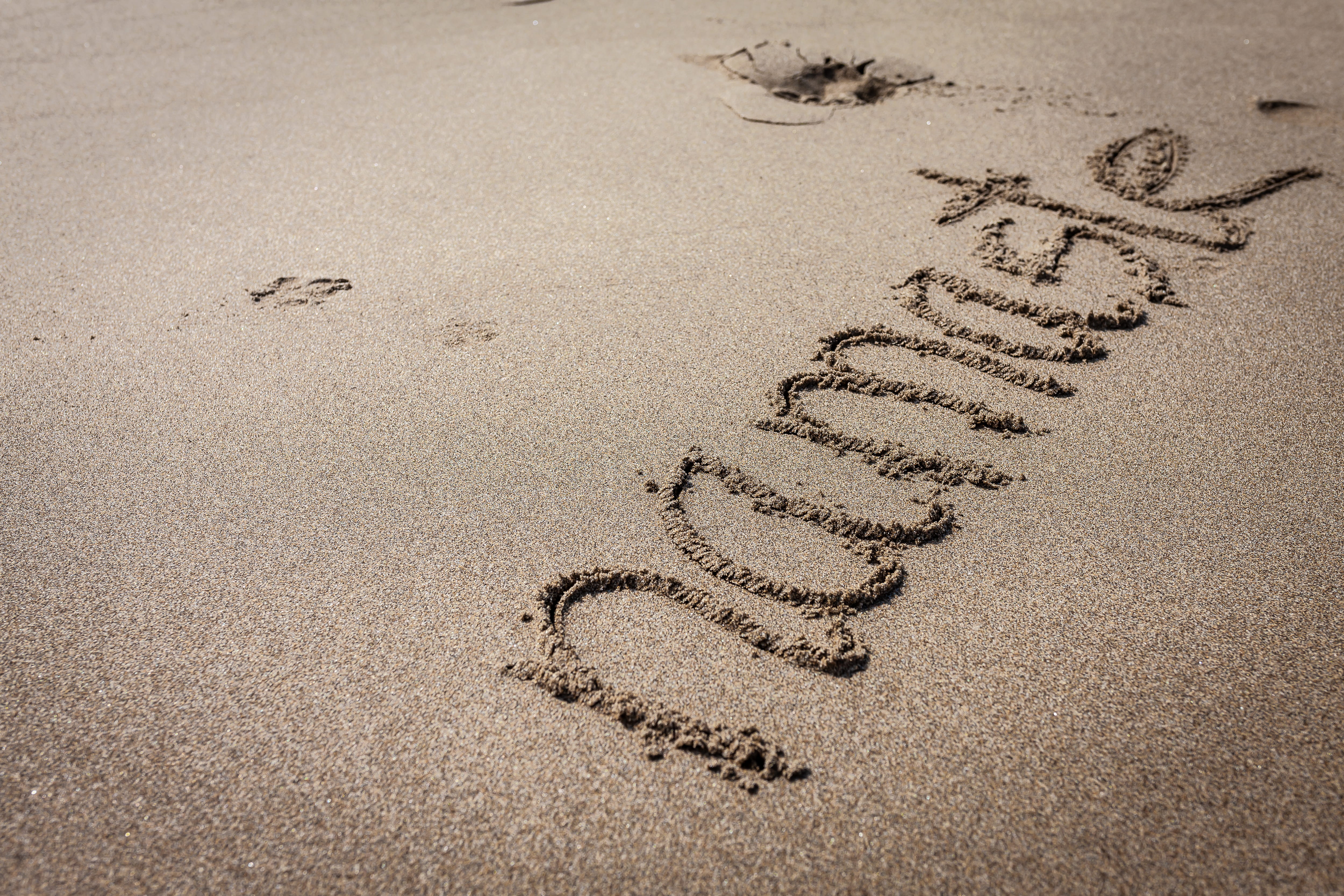 daylight, communication, animal, handwritten, nature, sand, western script, sandy, day, footprint, outdoors, drawing - art product, no people, 4K, pattern, HD Wallpaper