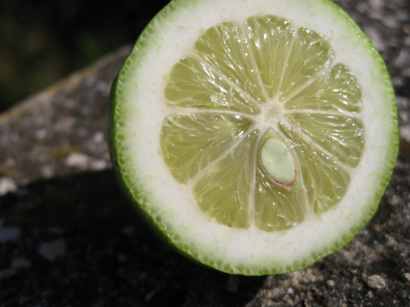 healthy Eating, focus on foreground, citrus Fruit, lime, segment, cross Section, kernel, 720P, freshness, nature, macro, day, food, green Color, juicy, HD Wallpaper