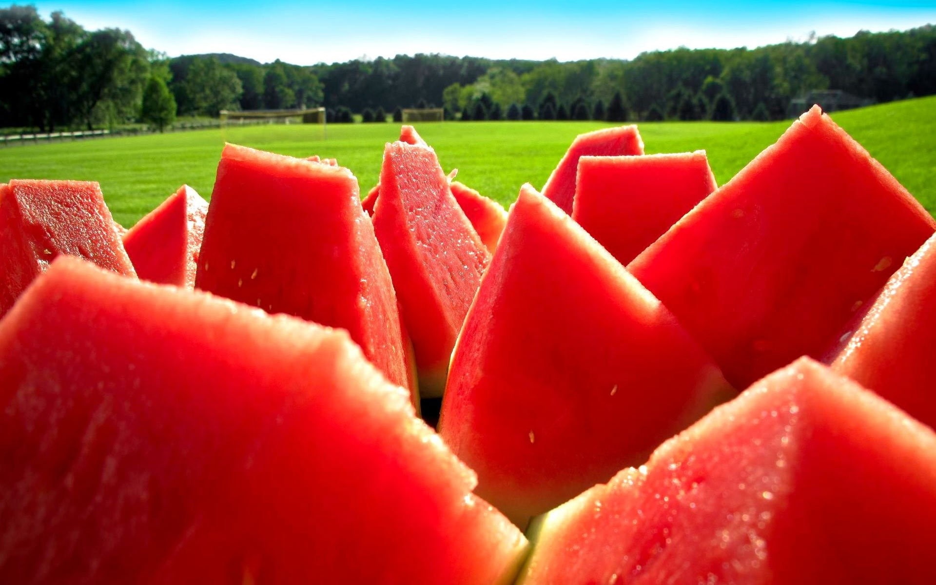 Nature, wellbeing, Segments, grass, Water-melon, healthy eating, food and drink, in a row, freshness, green color, Red, 1080P, Berry, watermelon, Ripe, HD Wallpaper