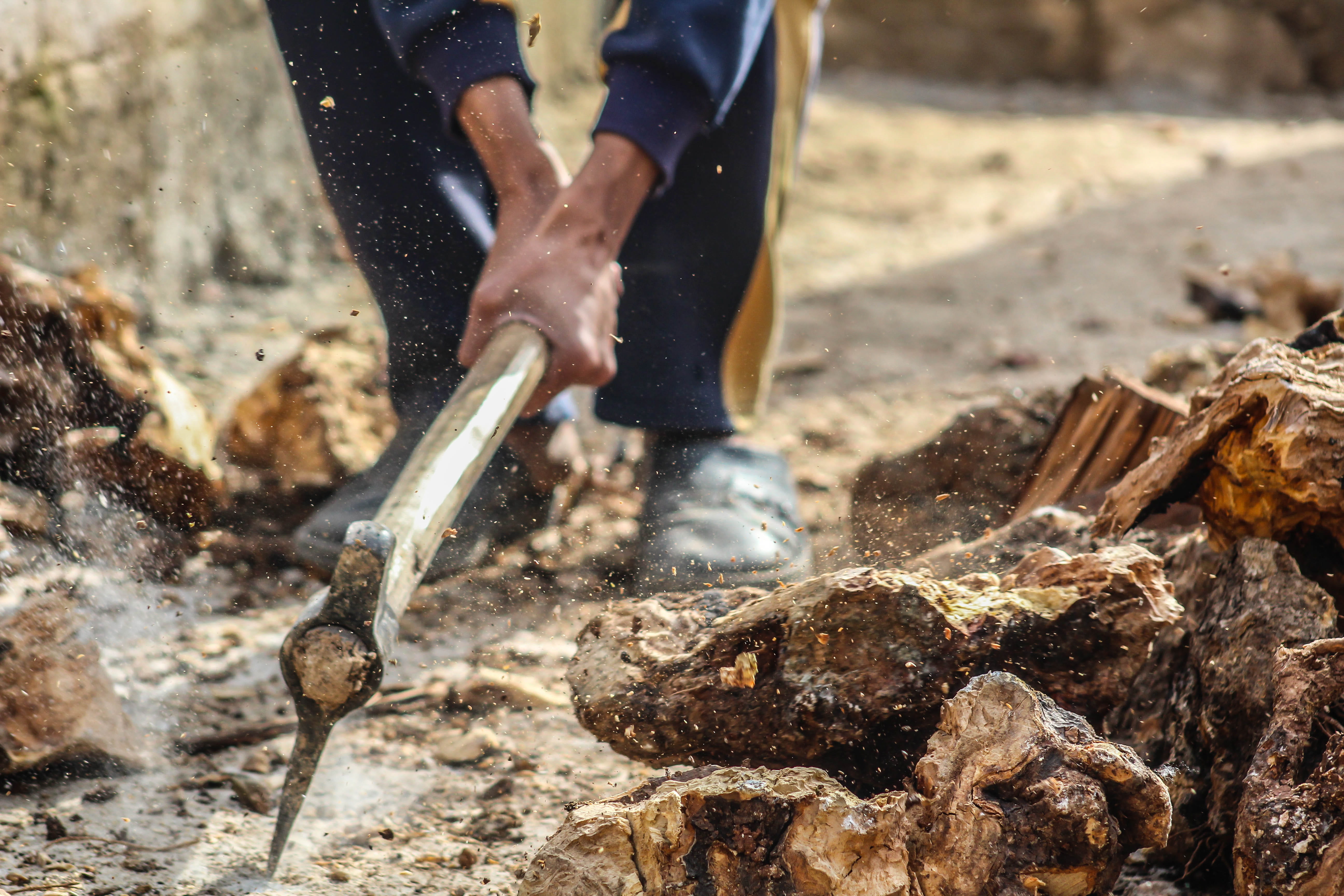 human body part, ground, food and drink, chopped, bark, campfire, men, axe, chopped wood, meat, timber, burning, industry, preparing food, hand, person, HD Wallpaper