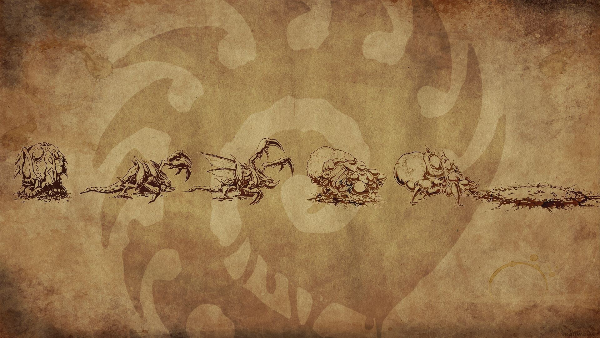 insect, wall - building feature, art and craft, close-up, logo, textured, revolution, pattern, antique, floral pattern, 1080P, StarCraft, decoration, backgrounds, HD Wallpaper