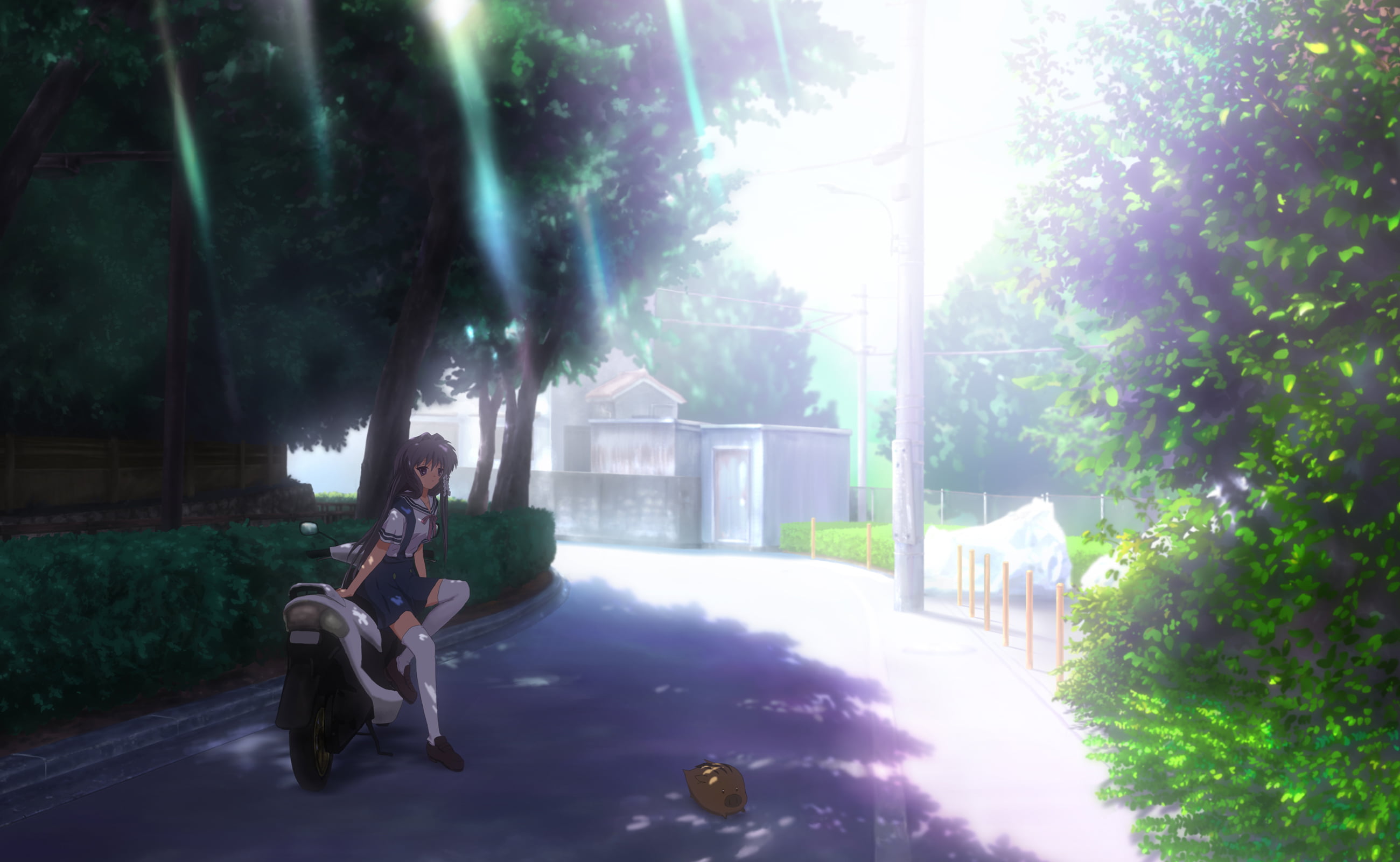 mammal, full length, Clannad, test kyou, sunlight, sunbeam, leisure activity, Fujibayashi Kyou, tree, 2K, lens flare, anime, built structure, one person, HD Wallpaper