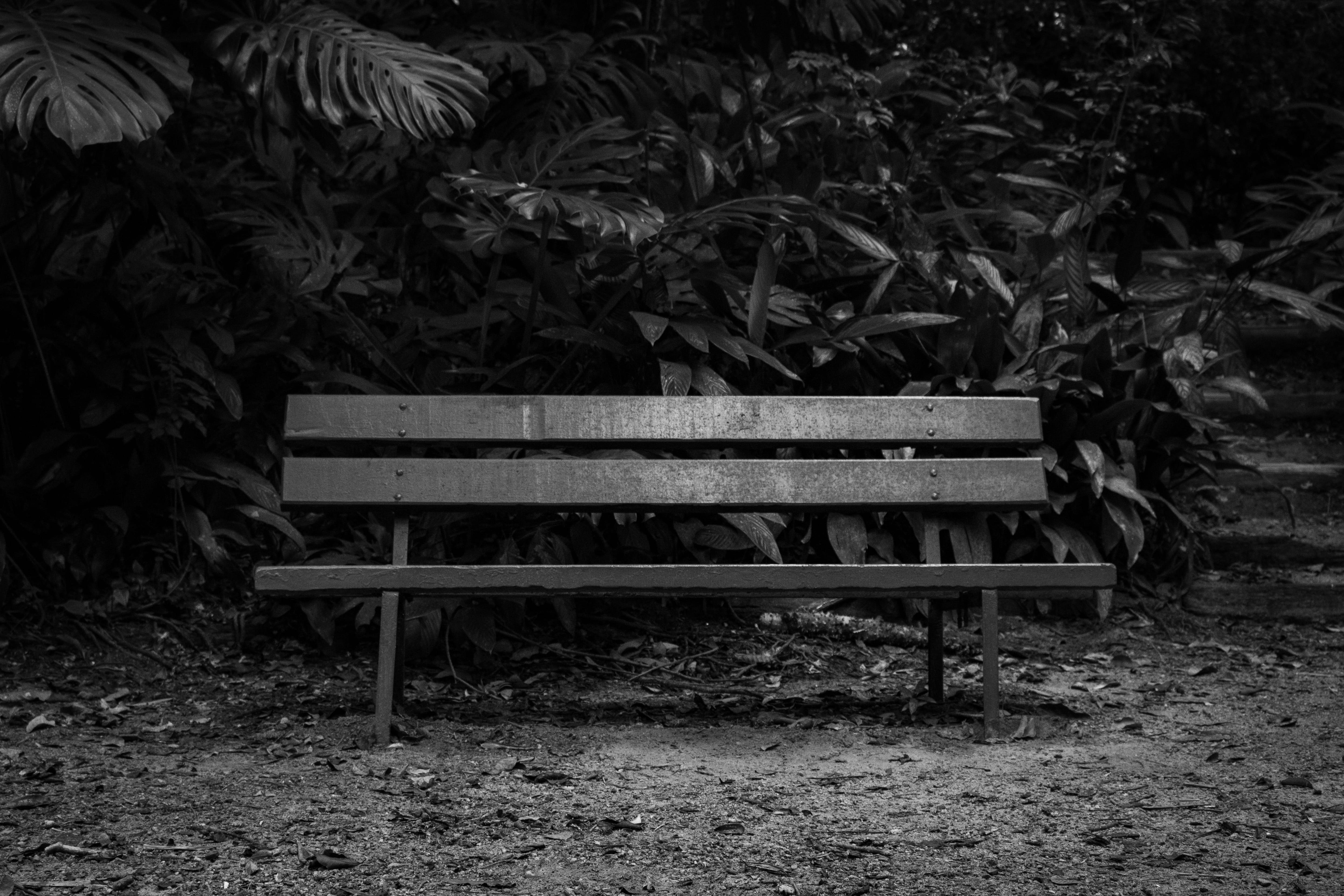 park, bench, field, one person, wood - material, real people, nature, empty, land, park - man made space, day, outdoors, relaxation, forest, plant, seat, HD Wallpaper