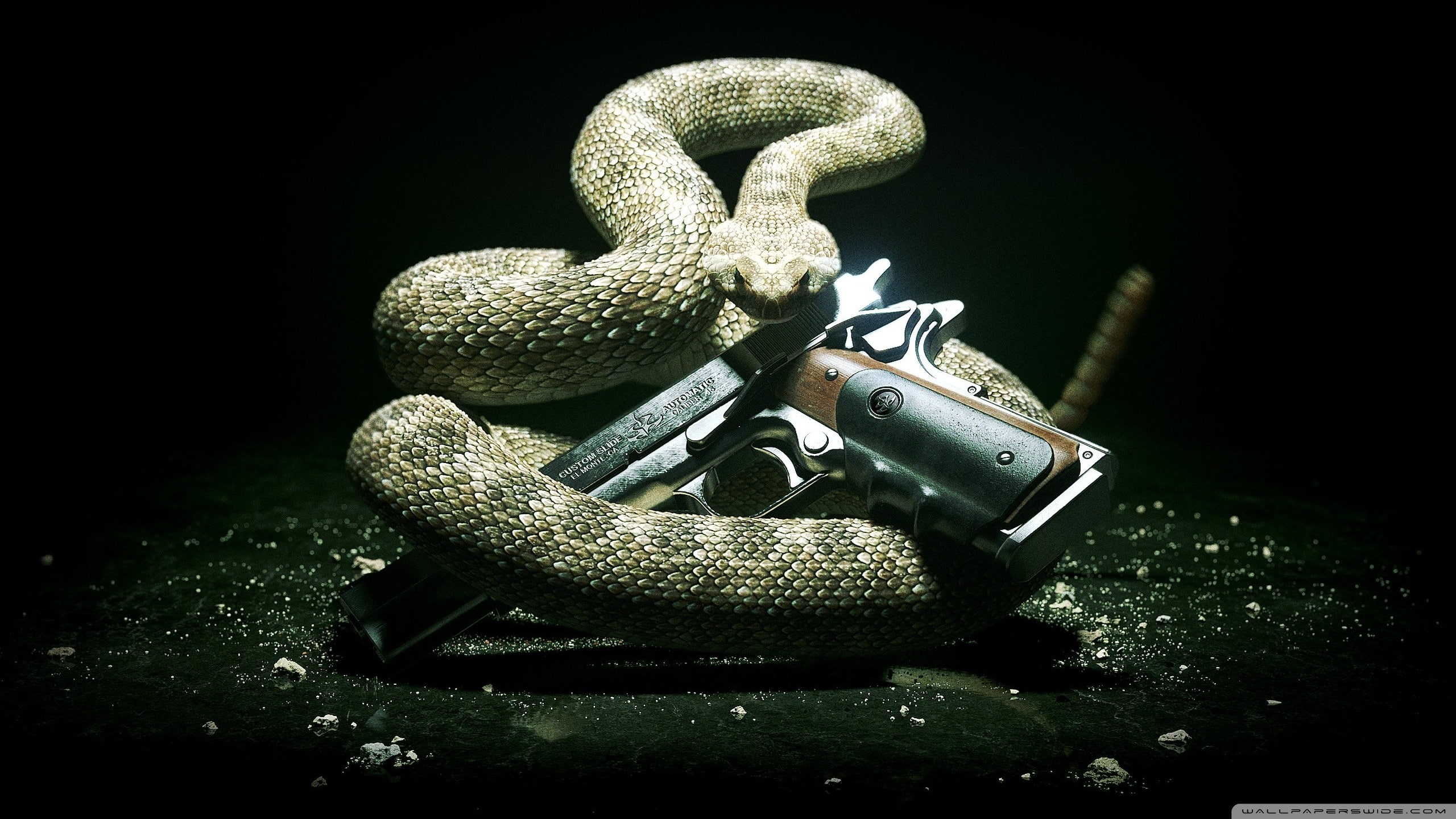 2012-wallpaper-2560x1440, absolution, hitman, 2K, HD Wallpaper