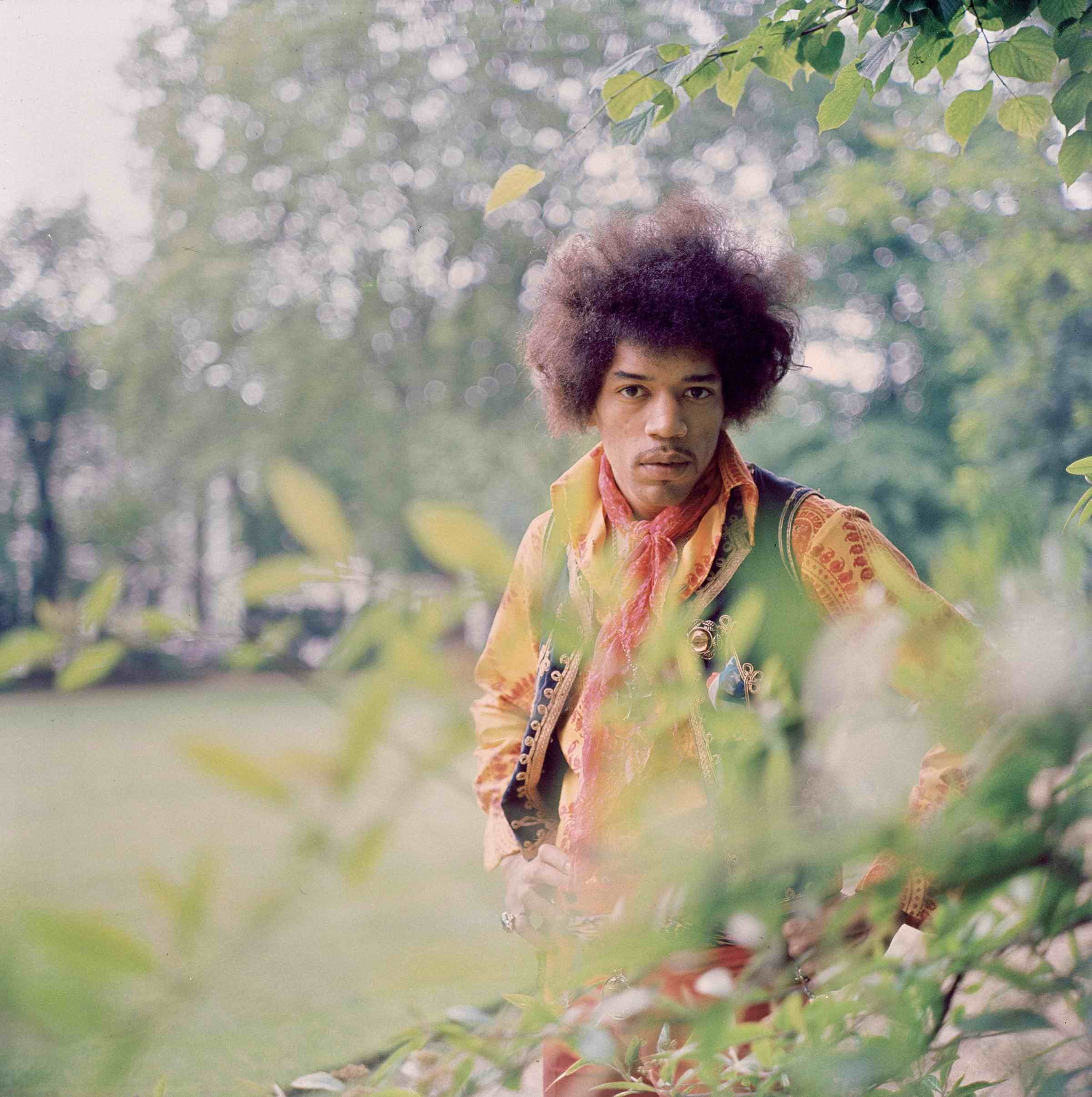 outdoors, hairstyle, standing, looking at viewer, contemplation, holding, tree, nature, Jimi Hendrix, waist up, front view, one person, selective focus, Phone HD Wallpaper