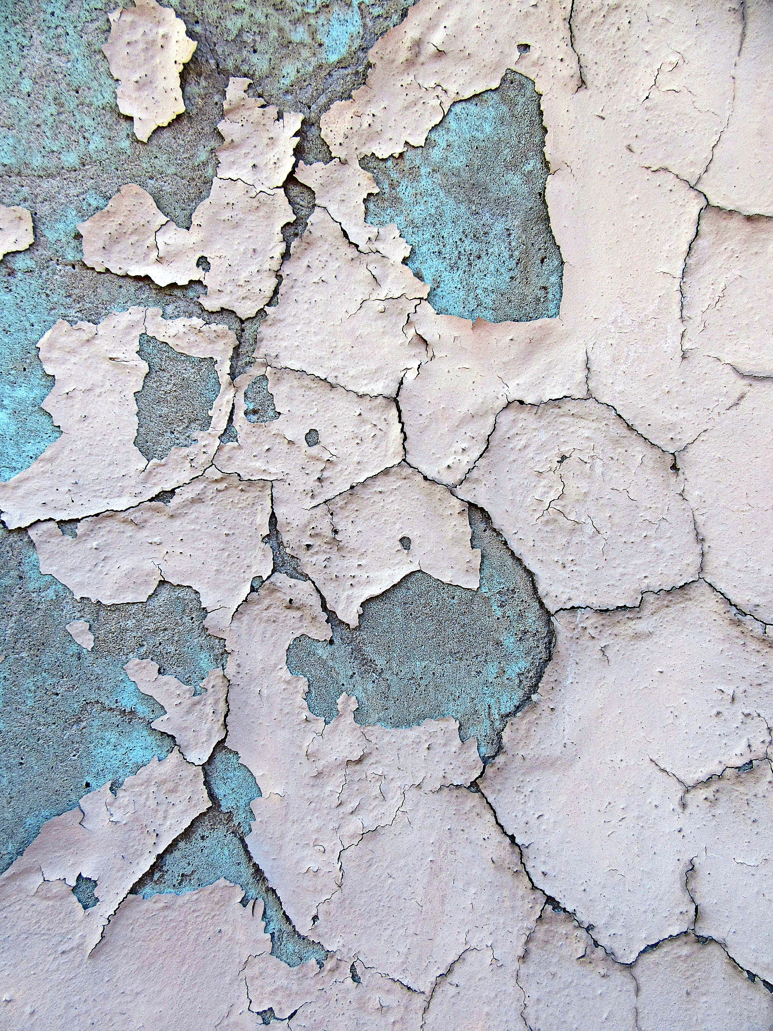 paint, wall - building feature, concrete, tar, diagram, s, 2K, animal, pattern, slate, deterioration, peeling off, insect, plaster, weathered, outdoors, Phone HD Wallpaper
