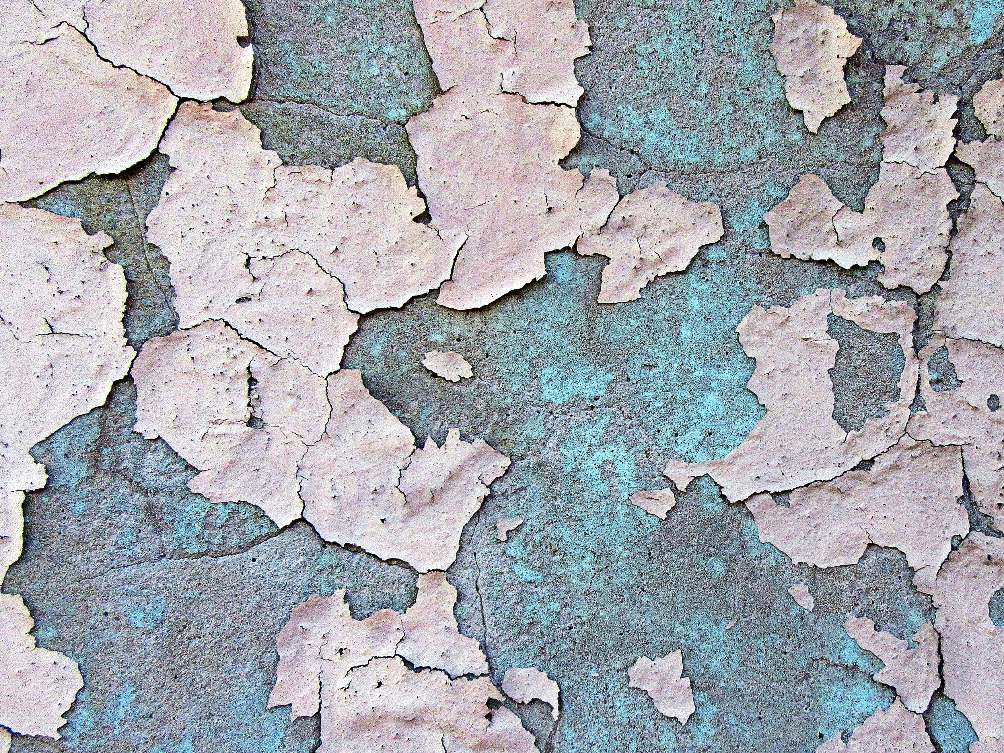 no people, concrete, white, algae, diagram, rough, slate, map, steel, weathered, mud, outdoors, plant, textured, surface, stain, old, textured effect, 2K, HD Wallpaper