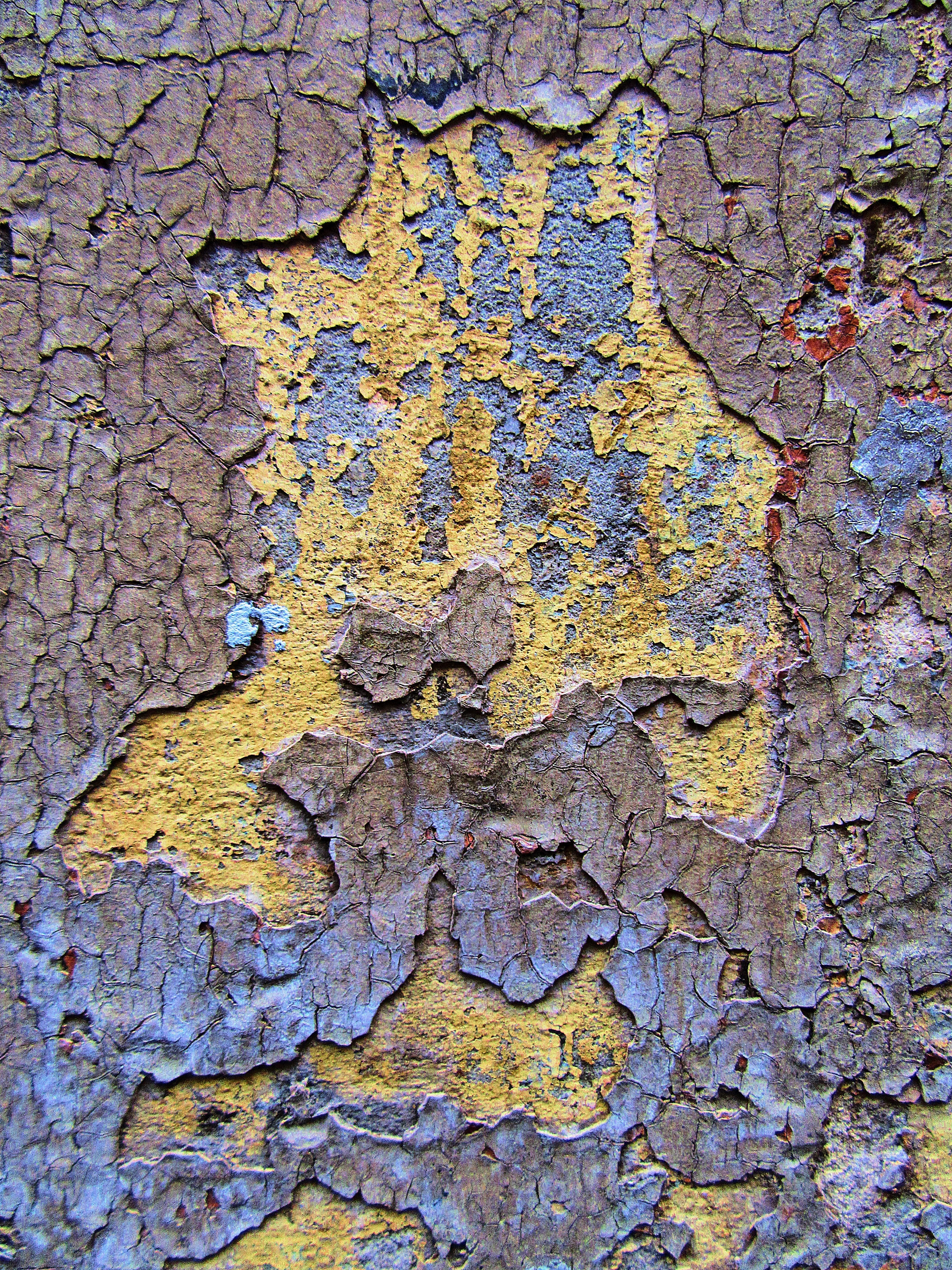 trunk, 2K, weathered, texture, wall, peeled, concrete, close-up, peeling off, tree, diagram, rock, old, deterioration, rug, lichen, pattern, wood, algae, Phone HD Wallpaper