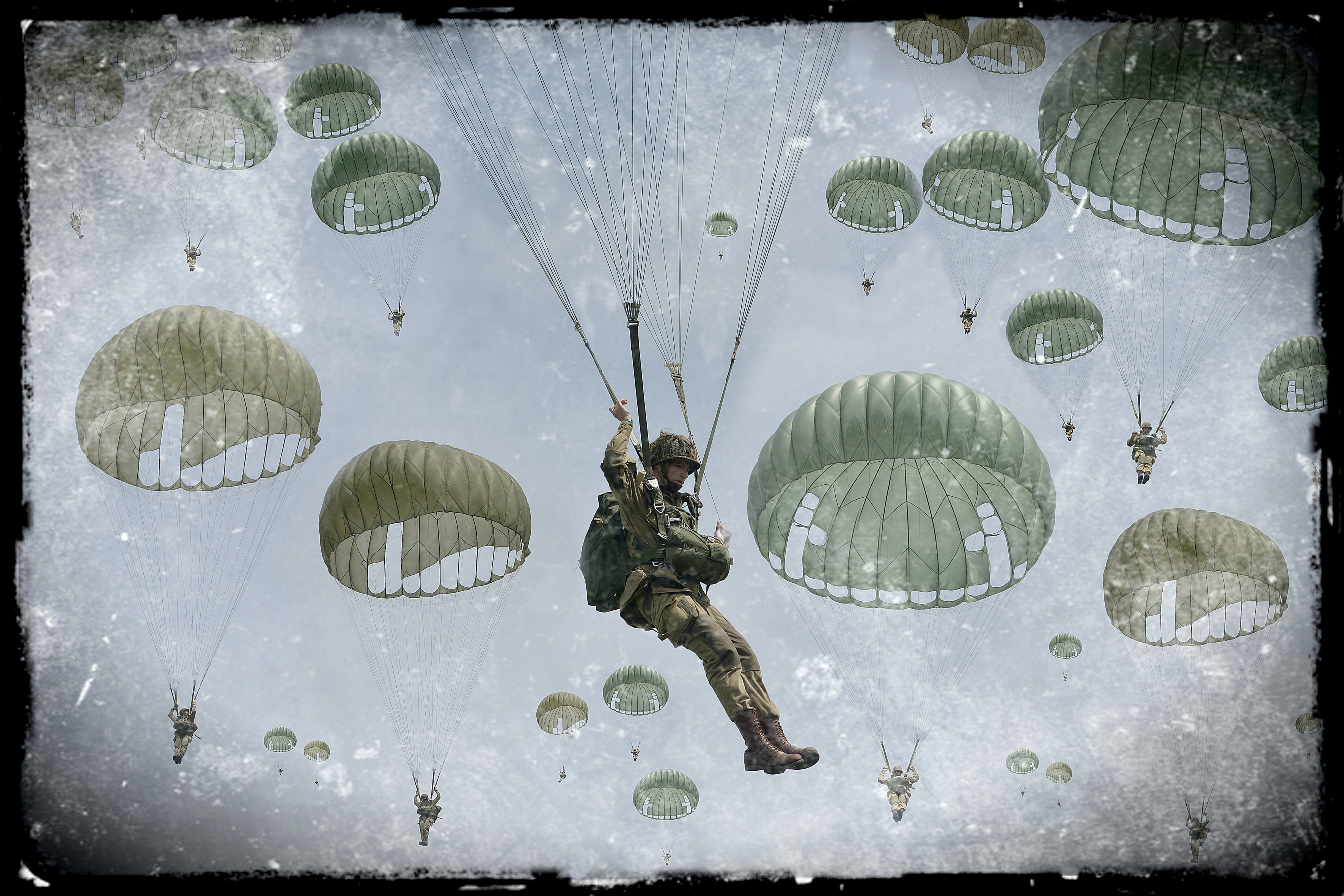 photo, soldiers, day, combat, auto post production filter, animal wildlife, landing, walllpaper., flying, plant part, painting, plant, transparent, HD Wallpaper
