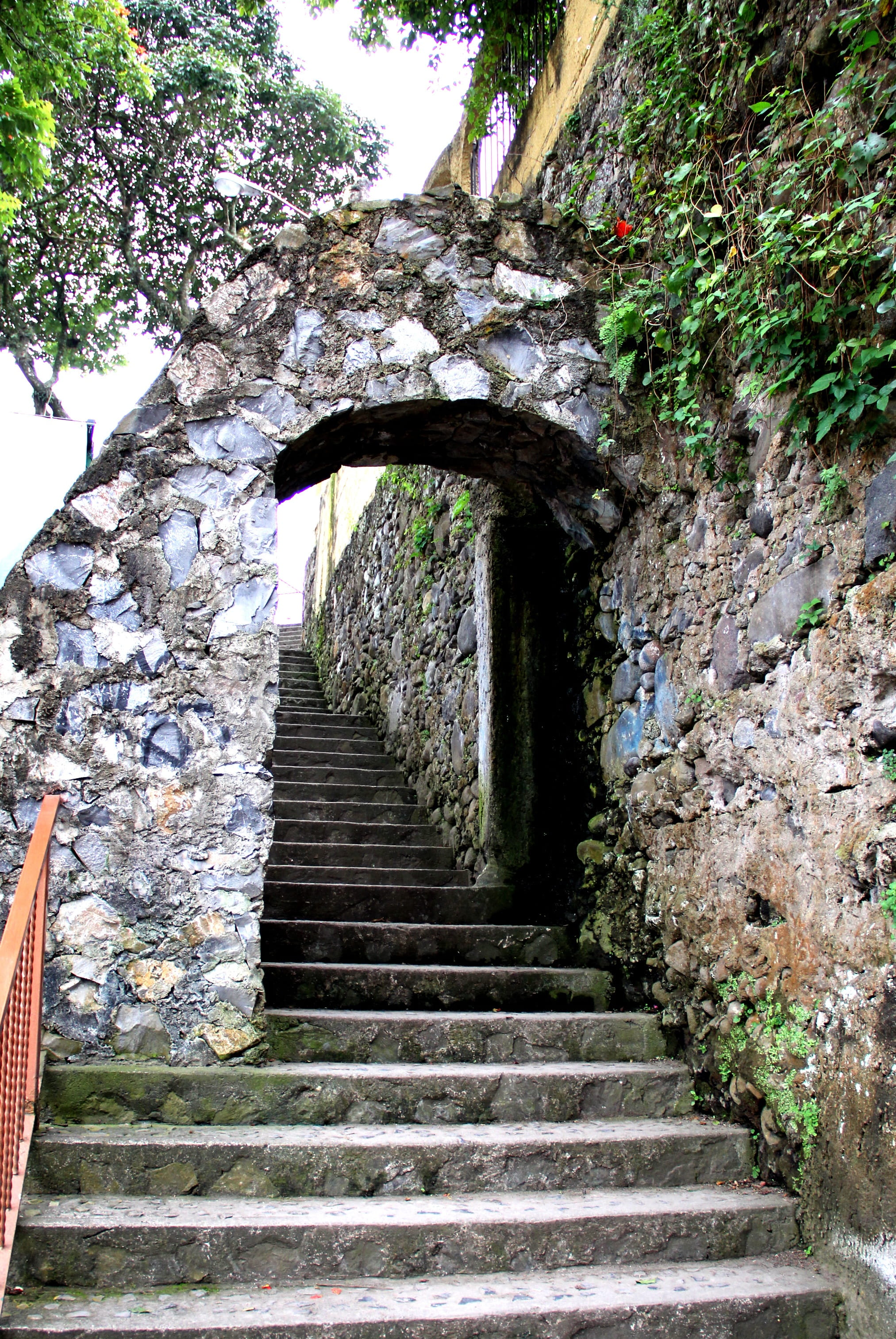 the way forward, staircase, solid, 2K, upload, step, wall, built structure, old, tree, steps and staircases, architecture, plant, stairs, orizaba, stone wall, Phone HD Wallpaper