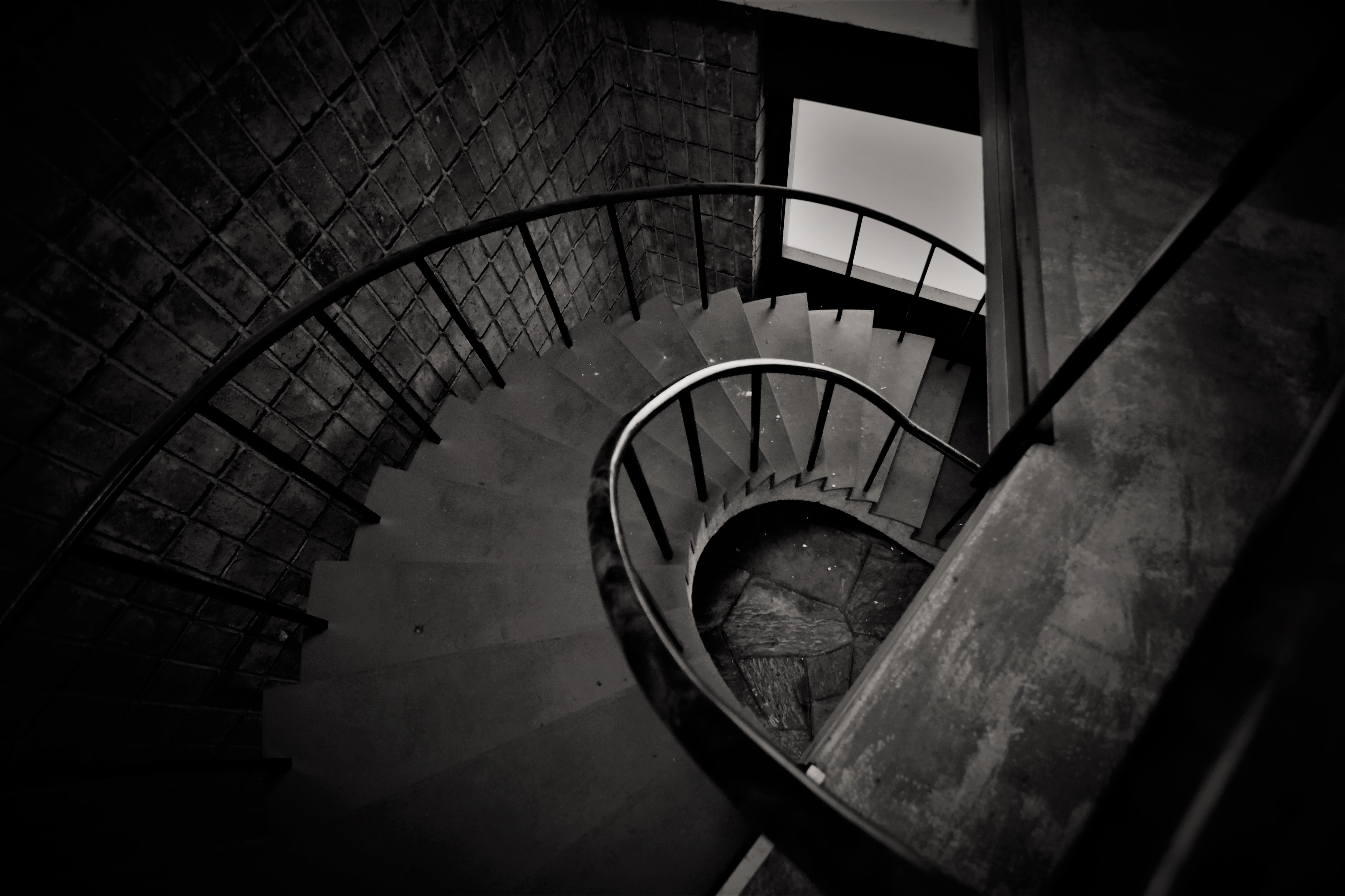 absence, snail, history, spiral, horizontal, wall - building feature, old, light, curve, no people, building, black and white, darkness, illuminated, backlight, HD Wallpaper