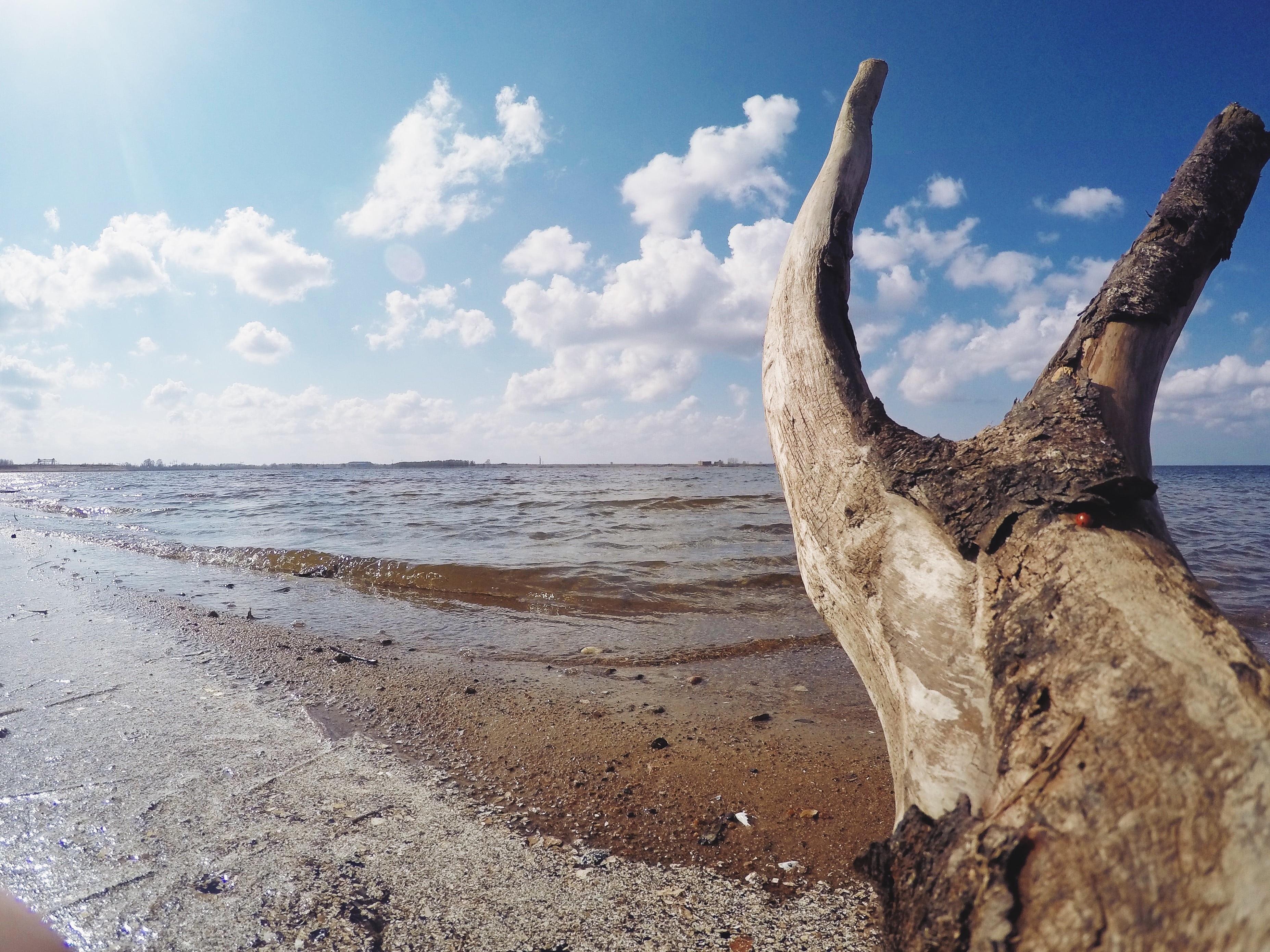 land, beauty in nature, 2K, water, sunlight, idyllic, login, cloud - sky, sky, coast, tranquility, sea, beach, driftwood, horizon, no people, horizon over water, HD Wallpaper