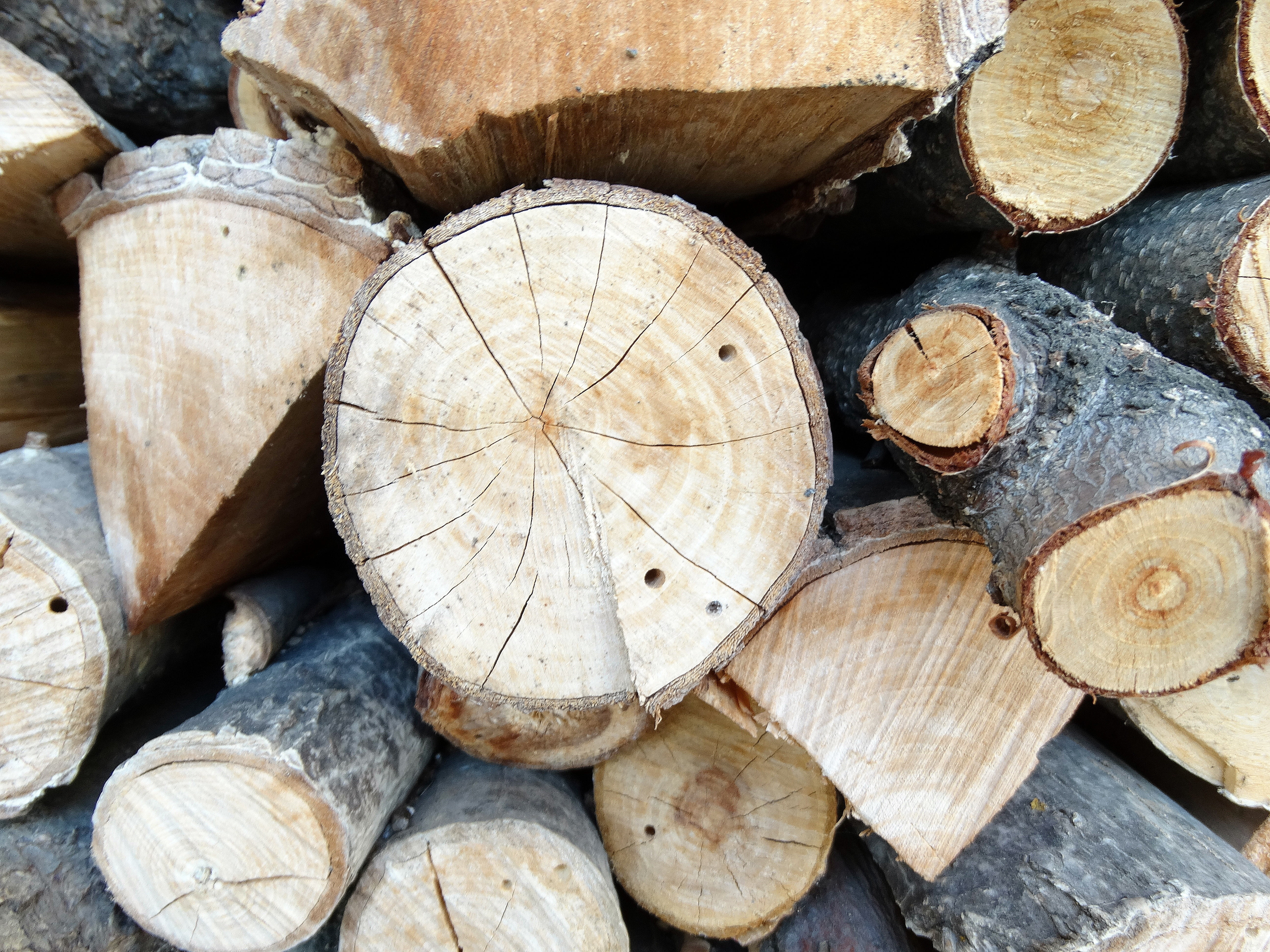 forest, fuel and power generation, lumber industry, large group of objects, shape, woodpile, 5K, stack, fossil fuel, wood, backgrounds, deforestation, HD Wallpaper